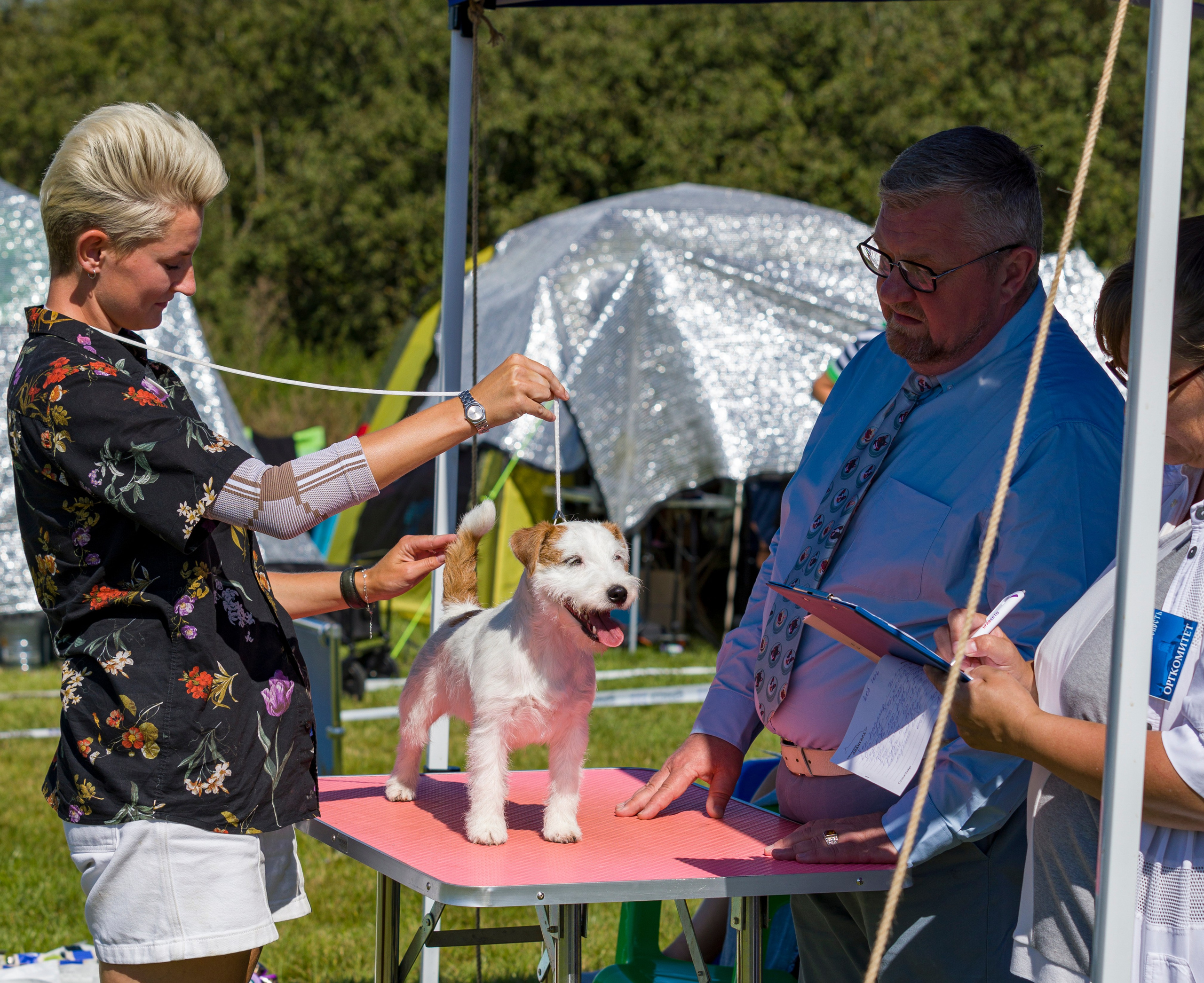 Выставки. Фотограф — анималист Татьяна Ли