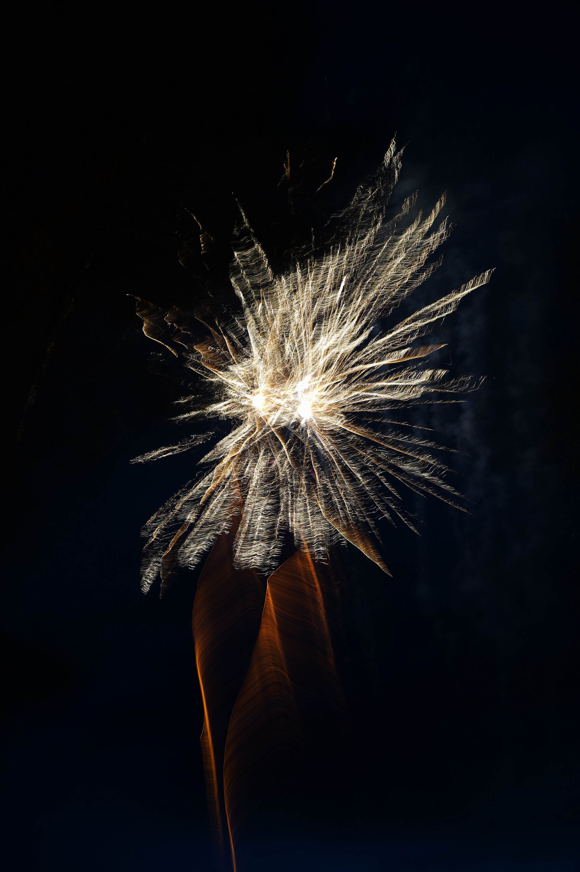 Свадьба Кати и Свята