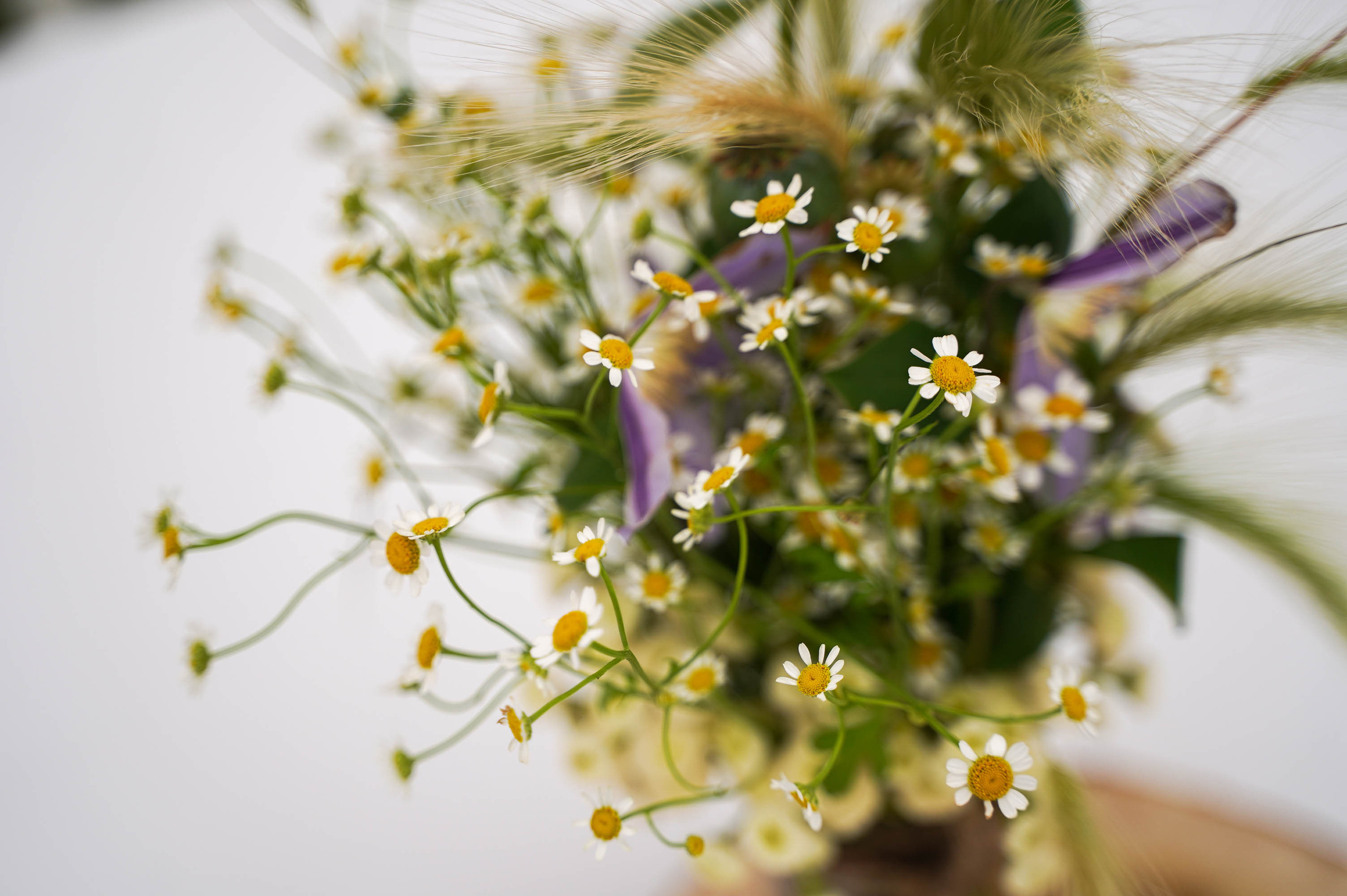 Свадьба Кати и Свята