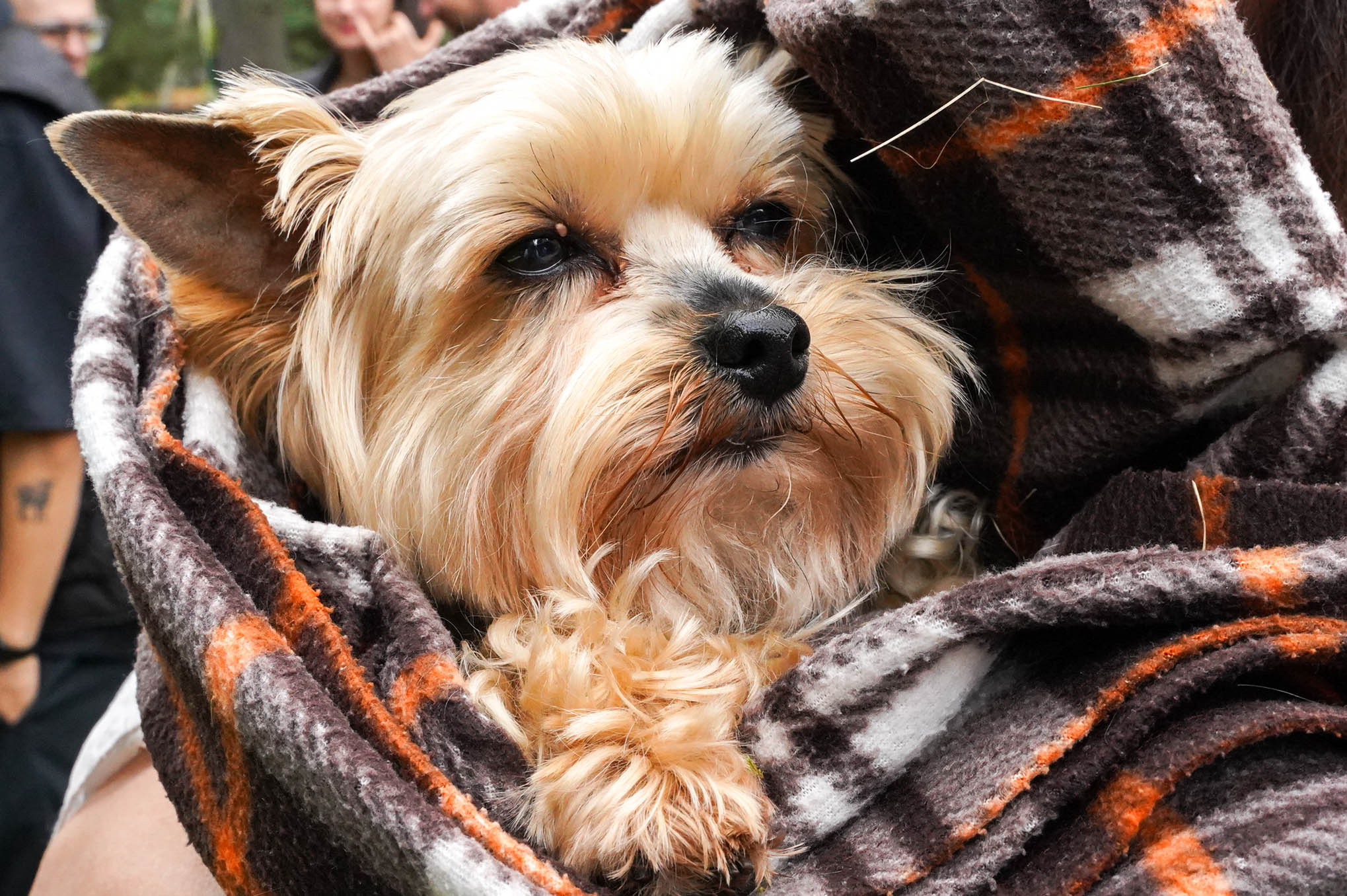 Свадьба Кати и Свята