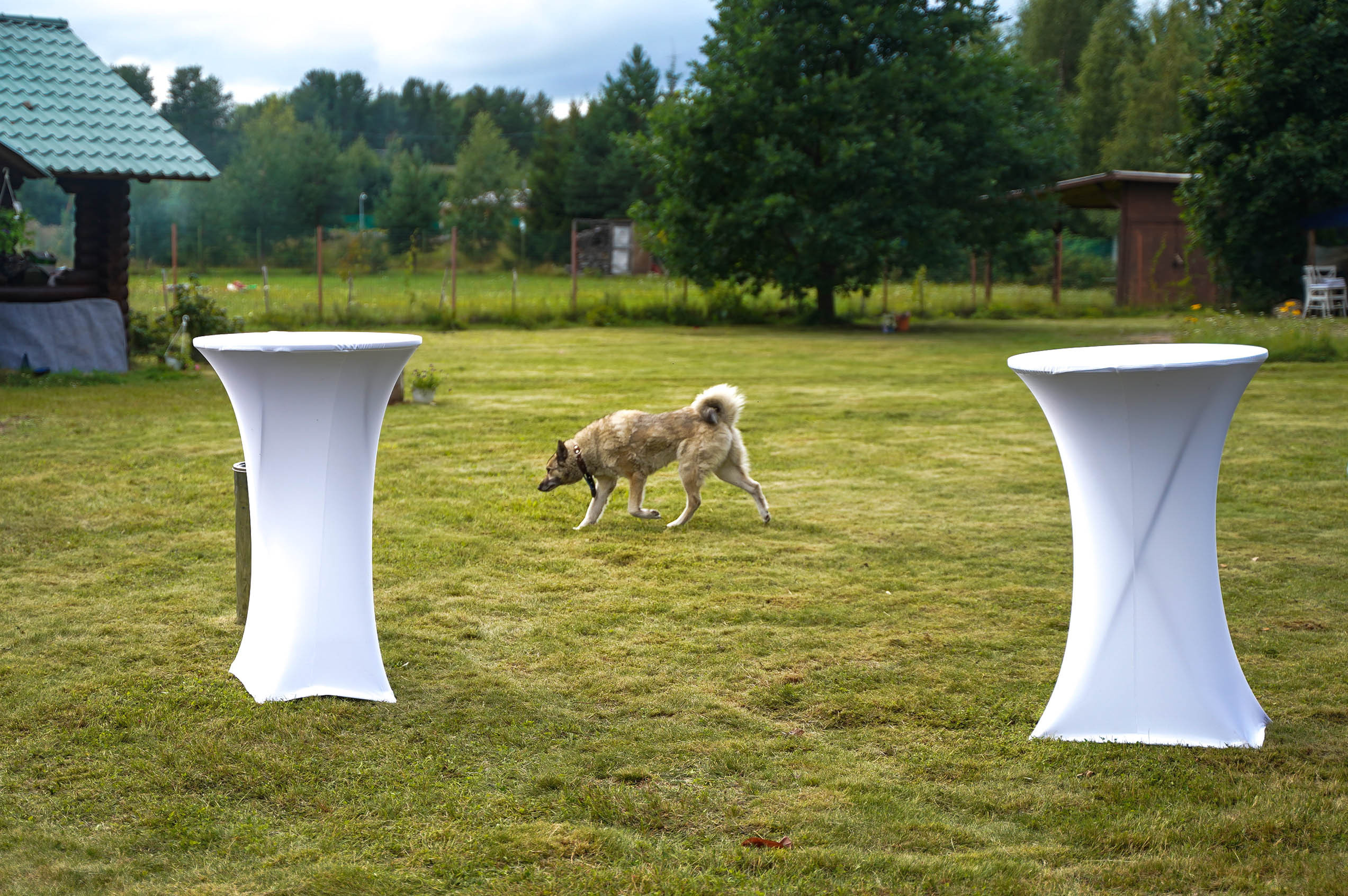 Свадьба Кати и Свята