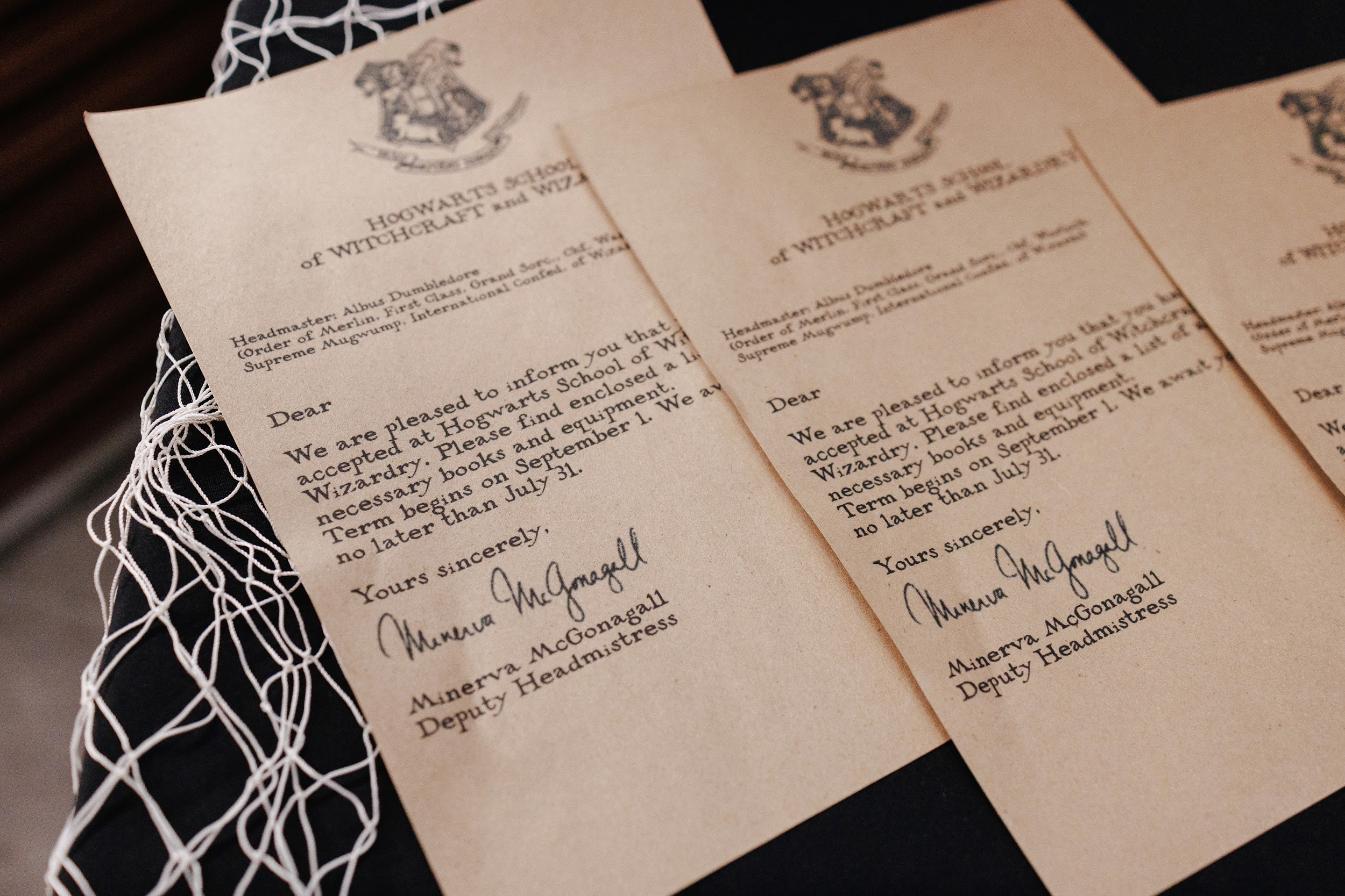 Harry Potter. Свадебный и репортажный фотограф в Воронеже Сергей Максимов