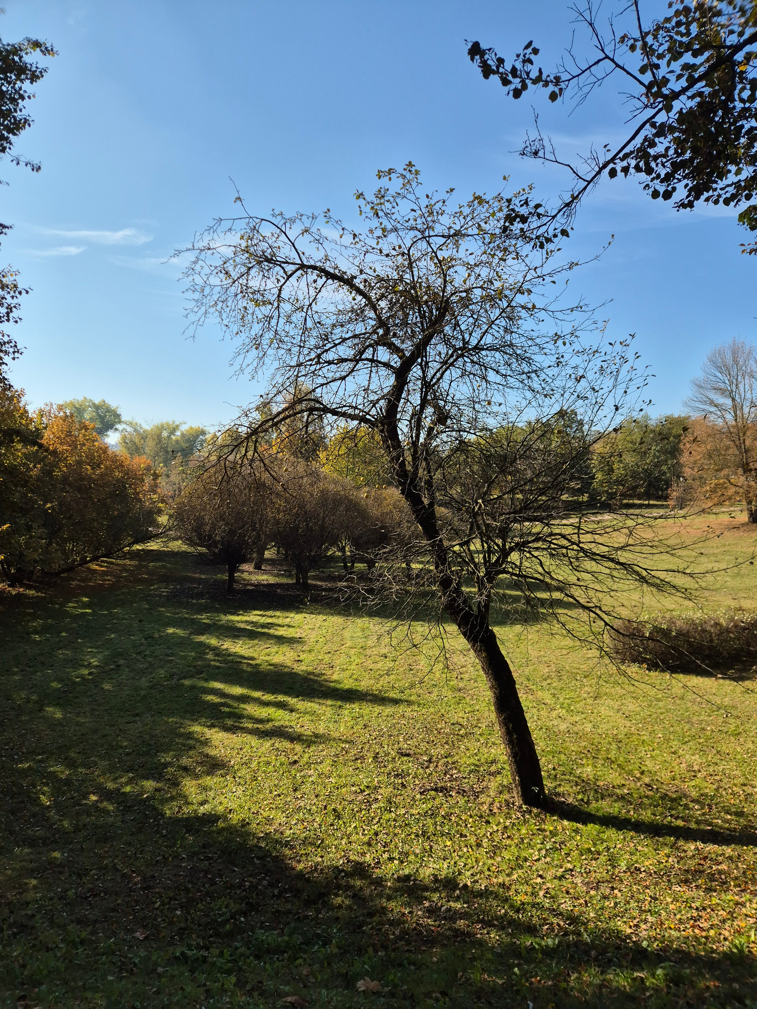 В конце зимы парк был угрюм