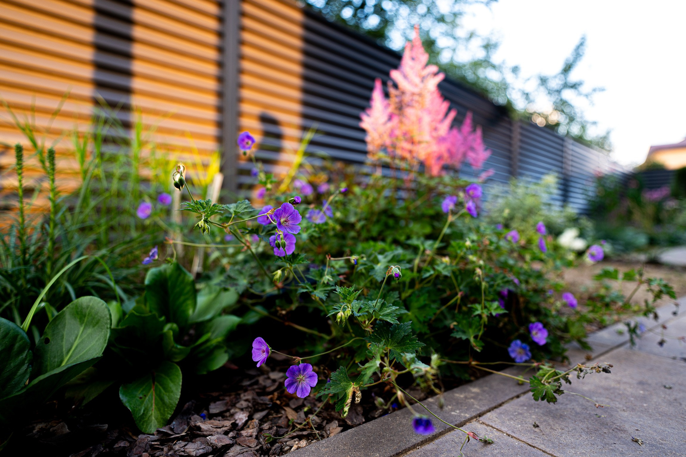Сад «Эклектика». Студия ландшафтного дизайна в Москве. Love My Garden