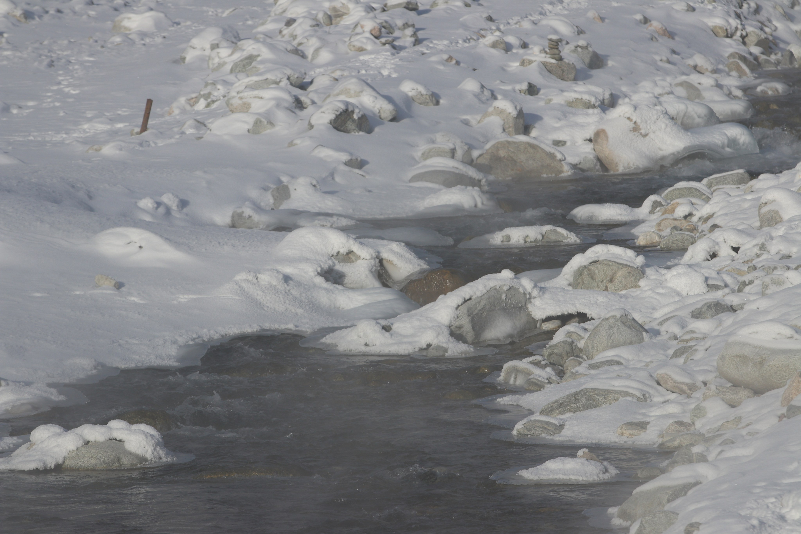 Аршан. Январь 2024. Путешественник-фотограф из Санкт-Петербурга Татьяна Свистулина