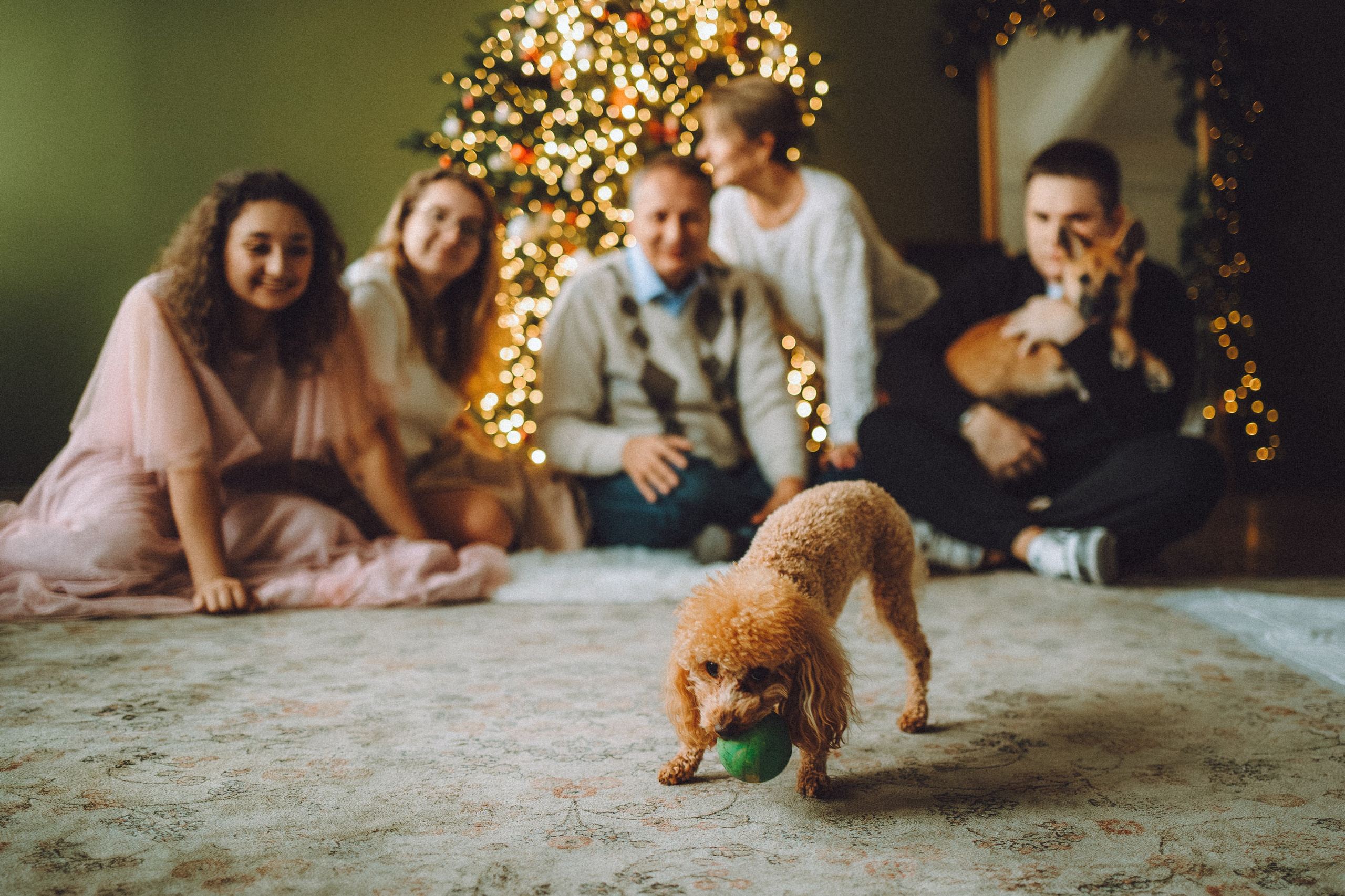 Джули, Шелли и их семья