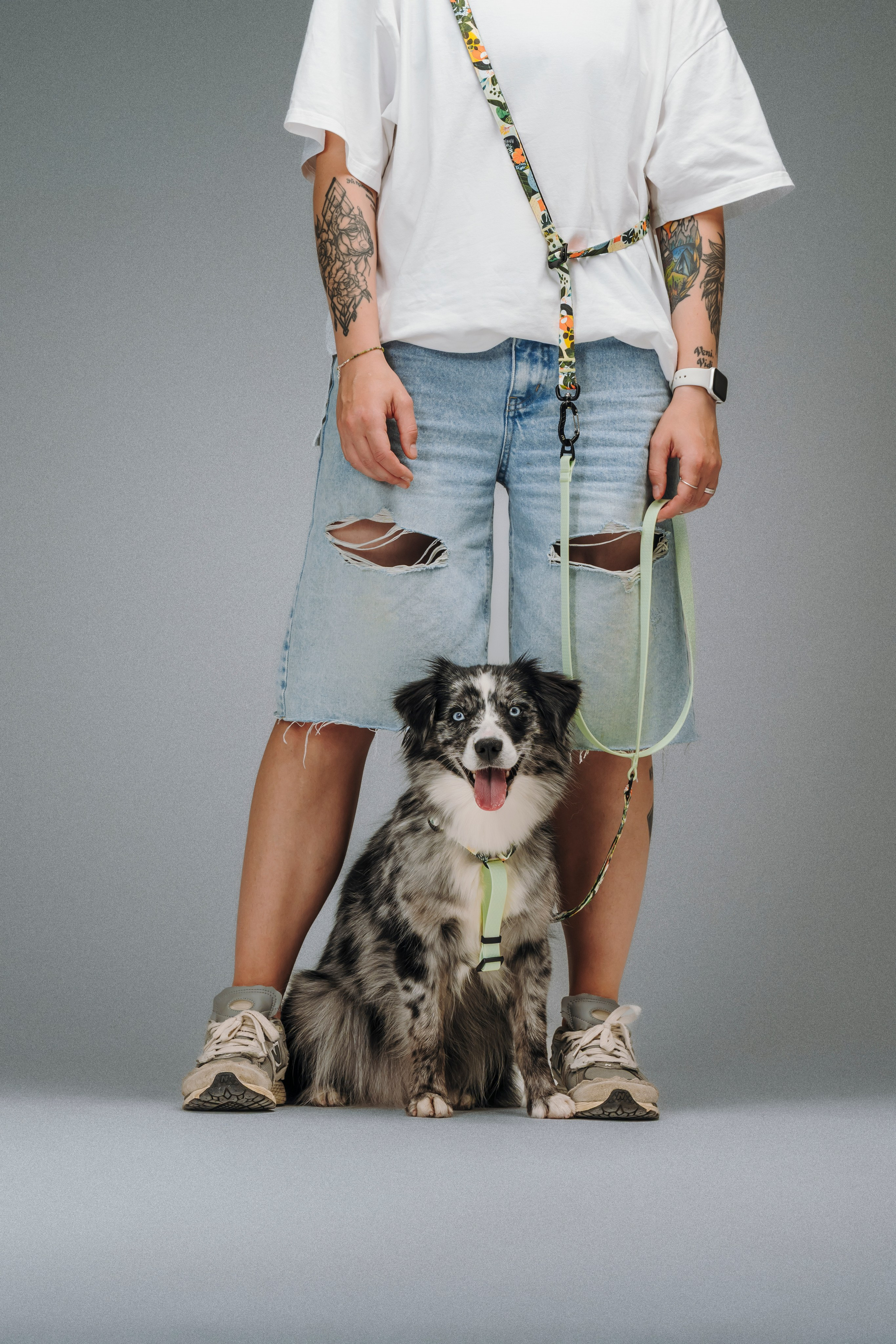 B&F. Амуниция. Семейный фотограф анималист Ананьева Мария — Москва