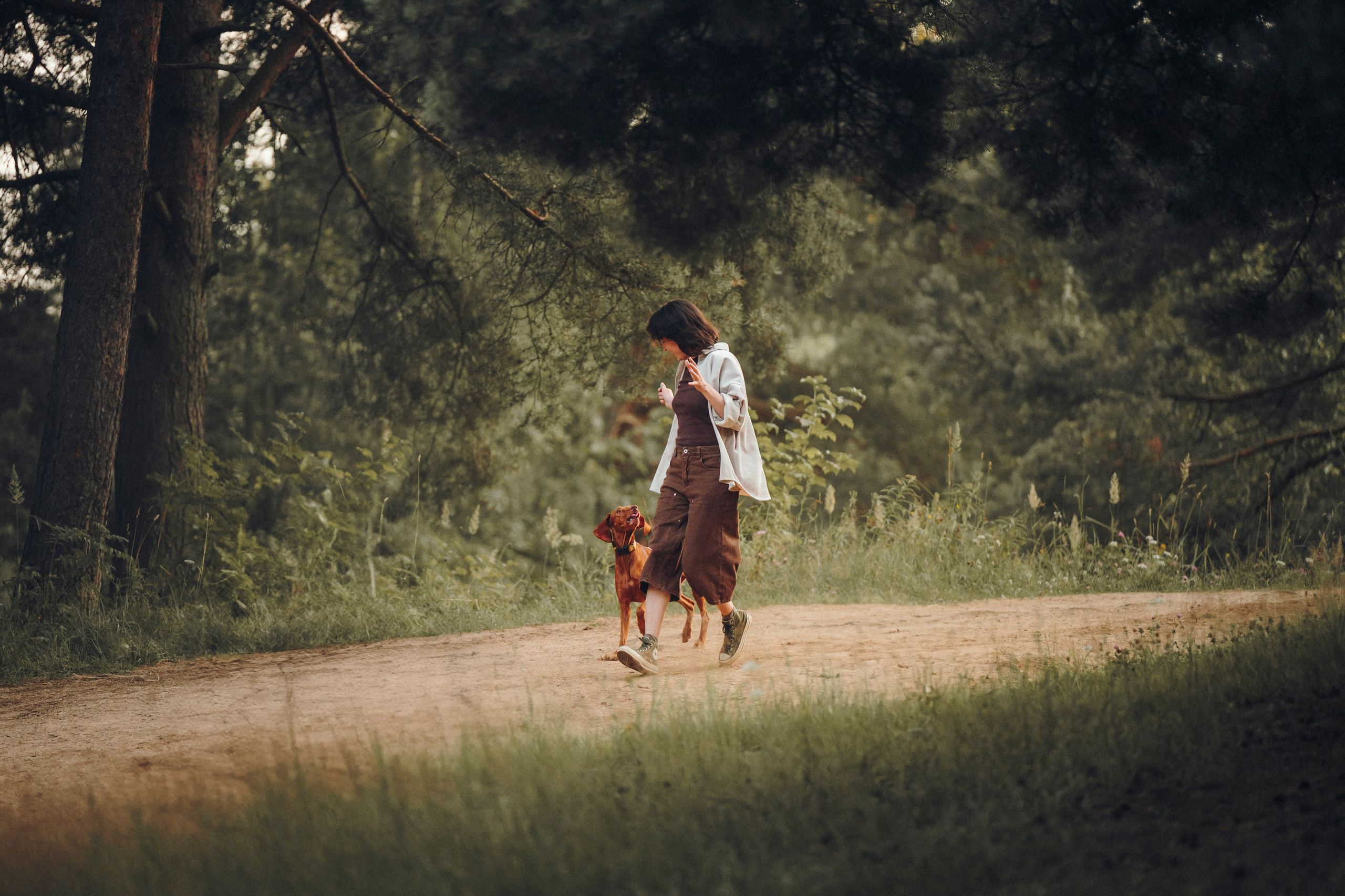 Маша, Трисс и Эста. Семейный фотограф анималист Ананьева Мария — Москва