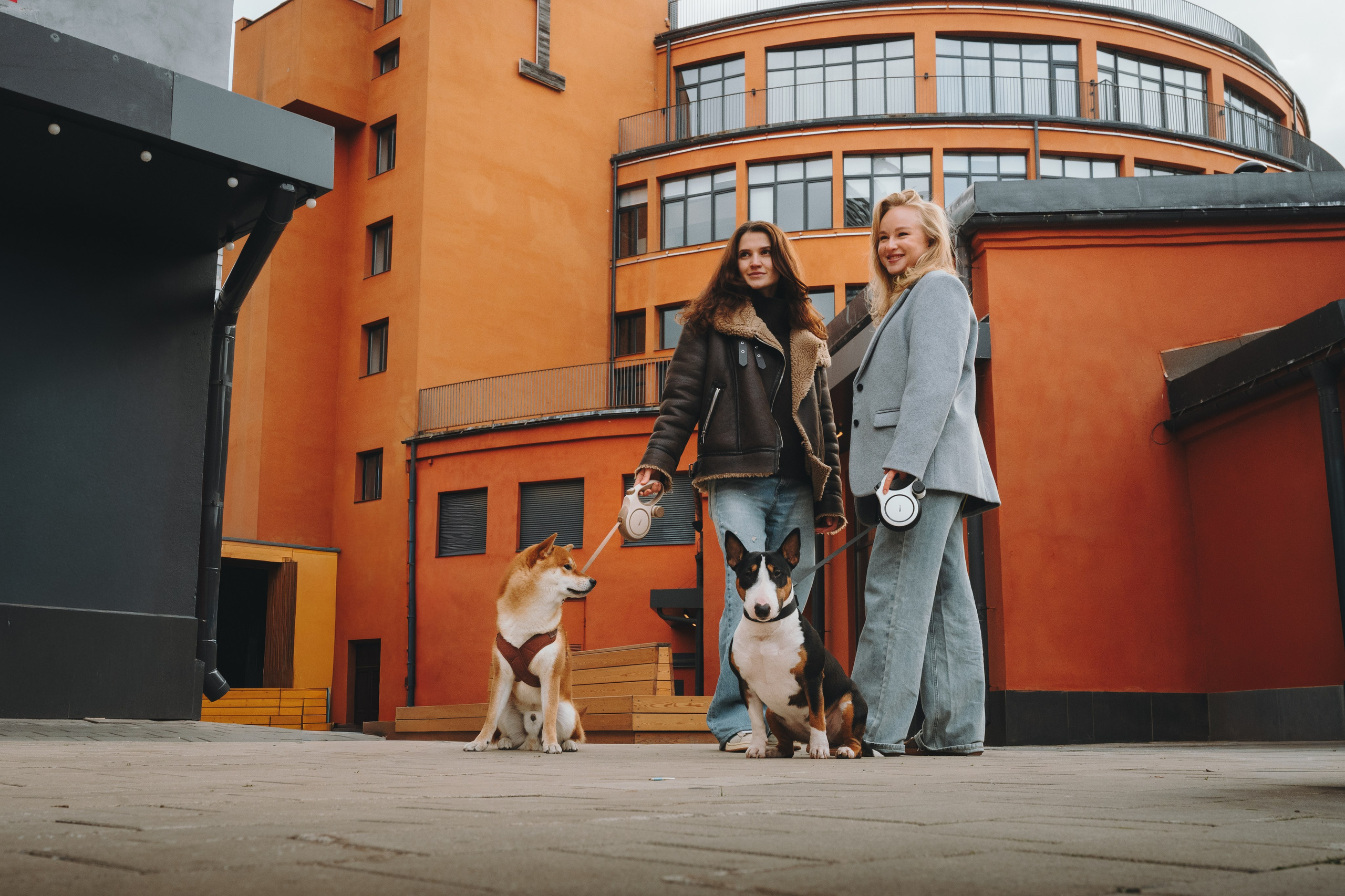 Pawsitive. Семейный фотограф анималист Ананьева Мария — Москва