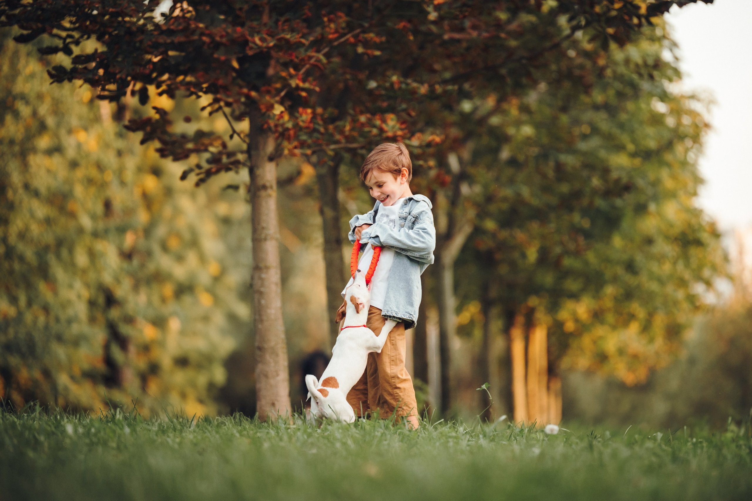 Алена, Илья, Даня и Данте. Семейный фотограф анималист Ананьева Мария — Москва