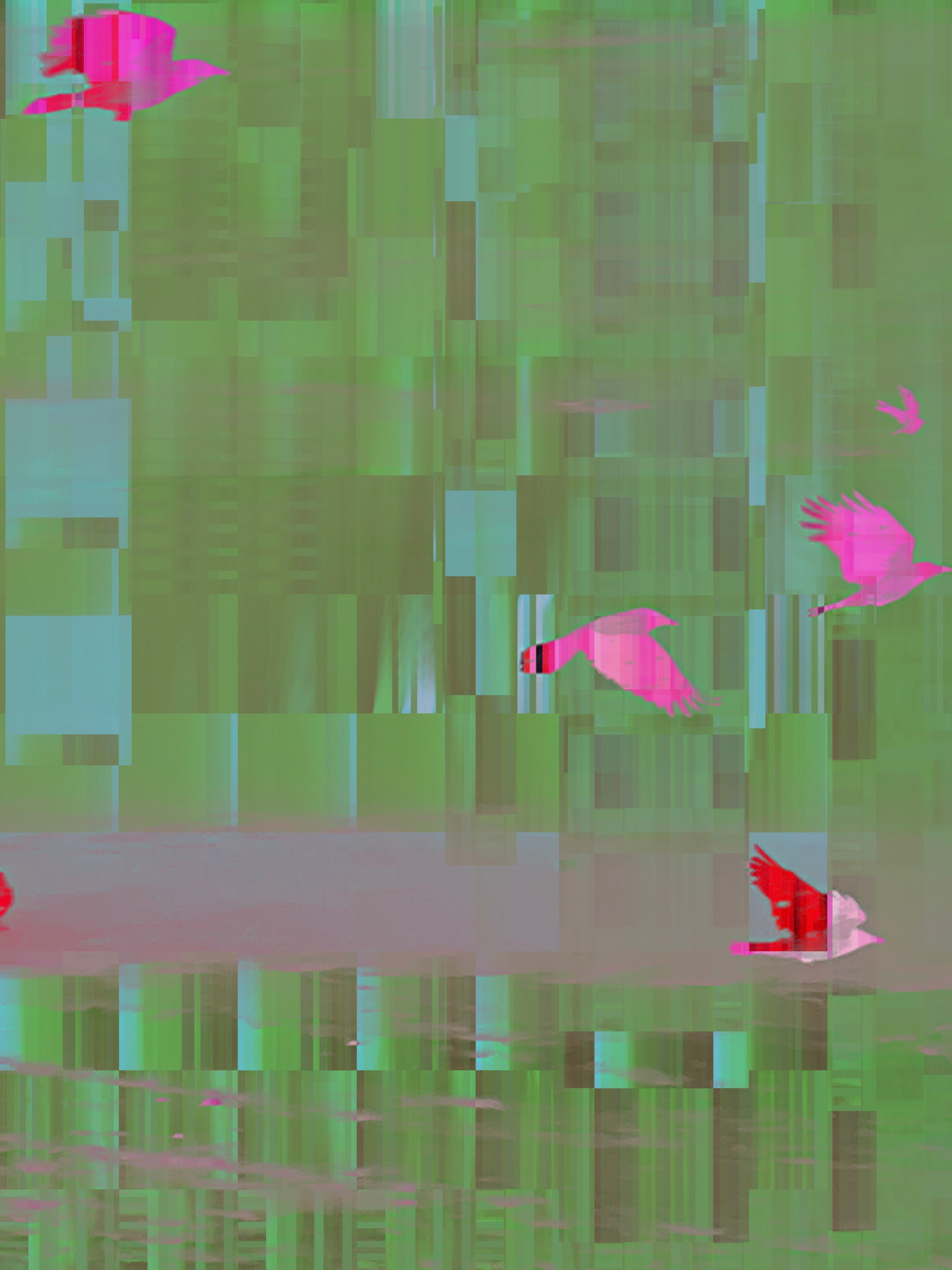 Вороны на снежном покрове. MEMORY in NATURE | digital art gallery