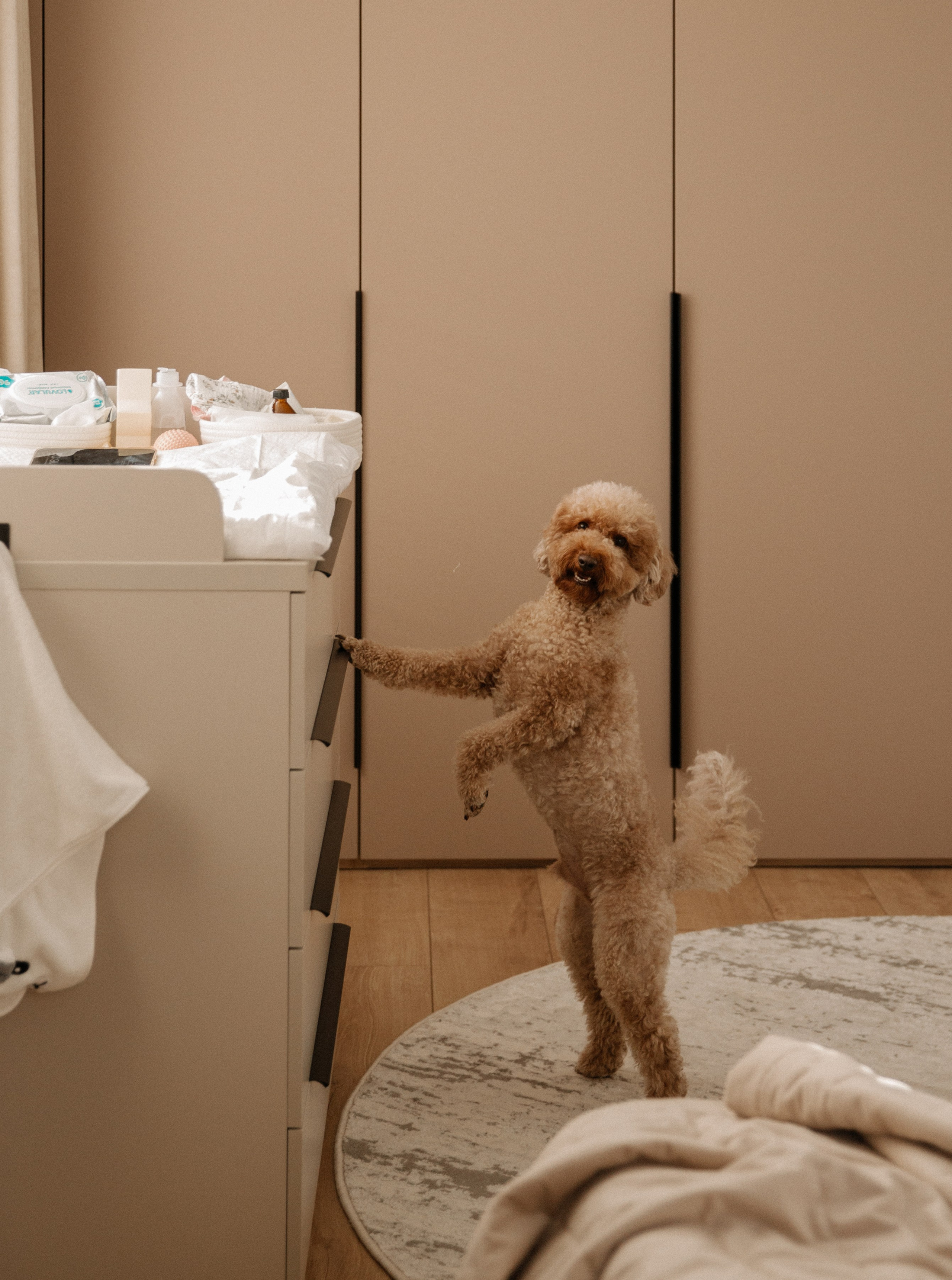 Алисе 1 месяц. Фотограф в Краснодаре и Краснодарском крае