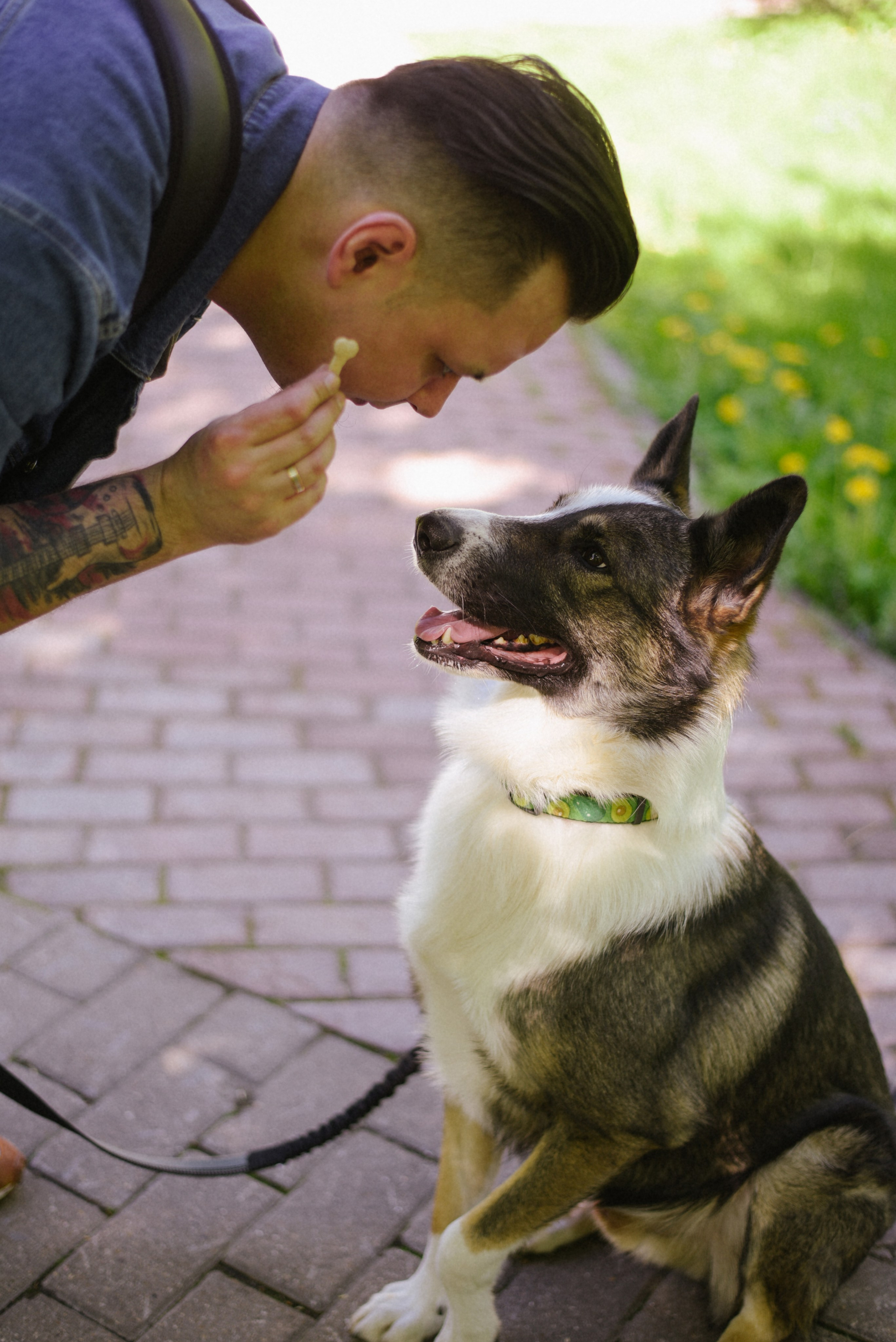 Иван и Надежда Прогулка с хвостатыми. Фотограф Лола Волна, город Москва