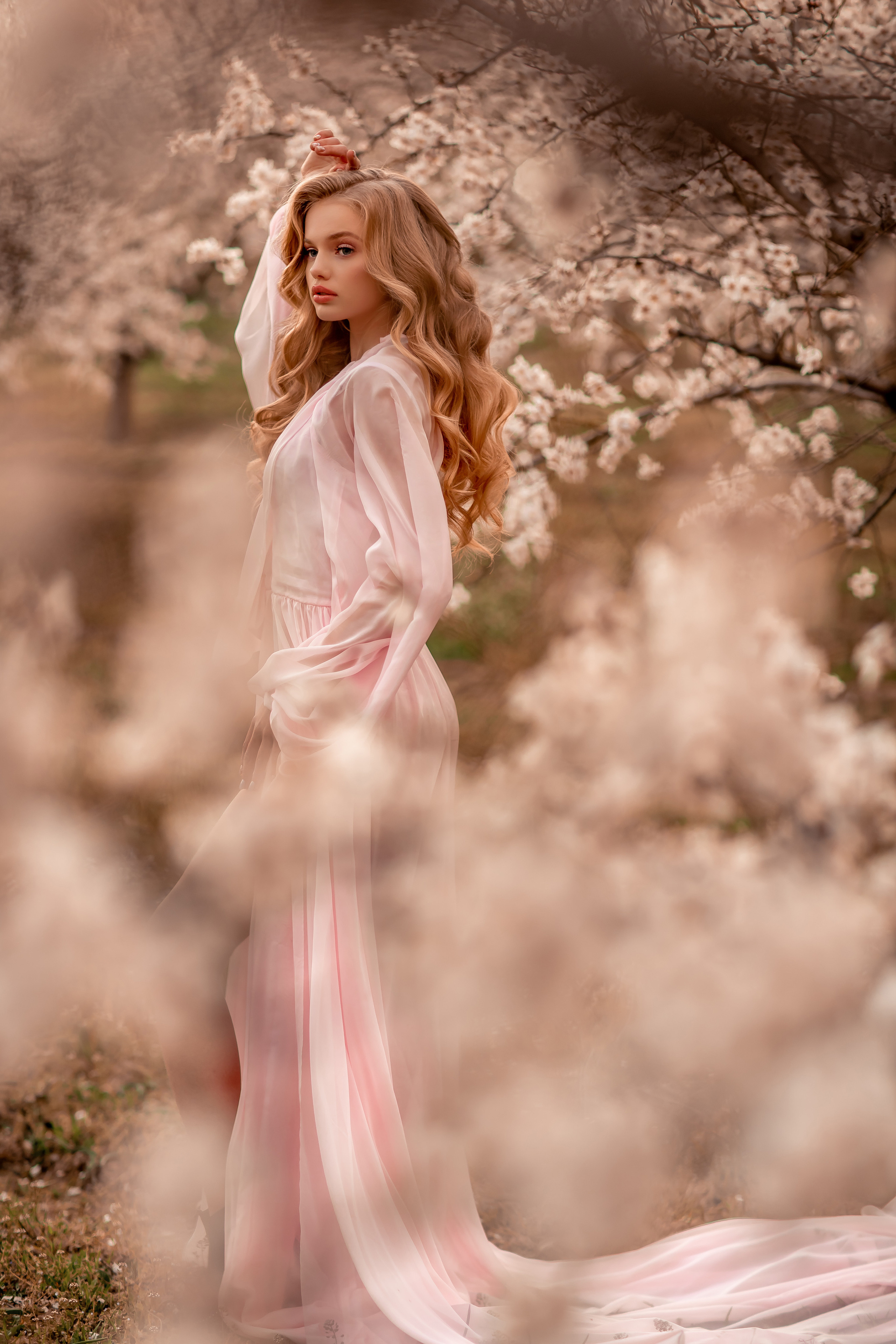 Цветение абрикосов, Крым. Свадебный и семейный фотограф. Фототуры по всему миру