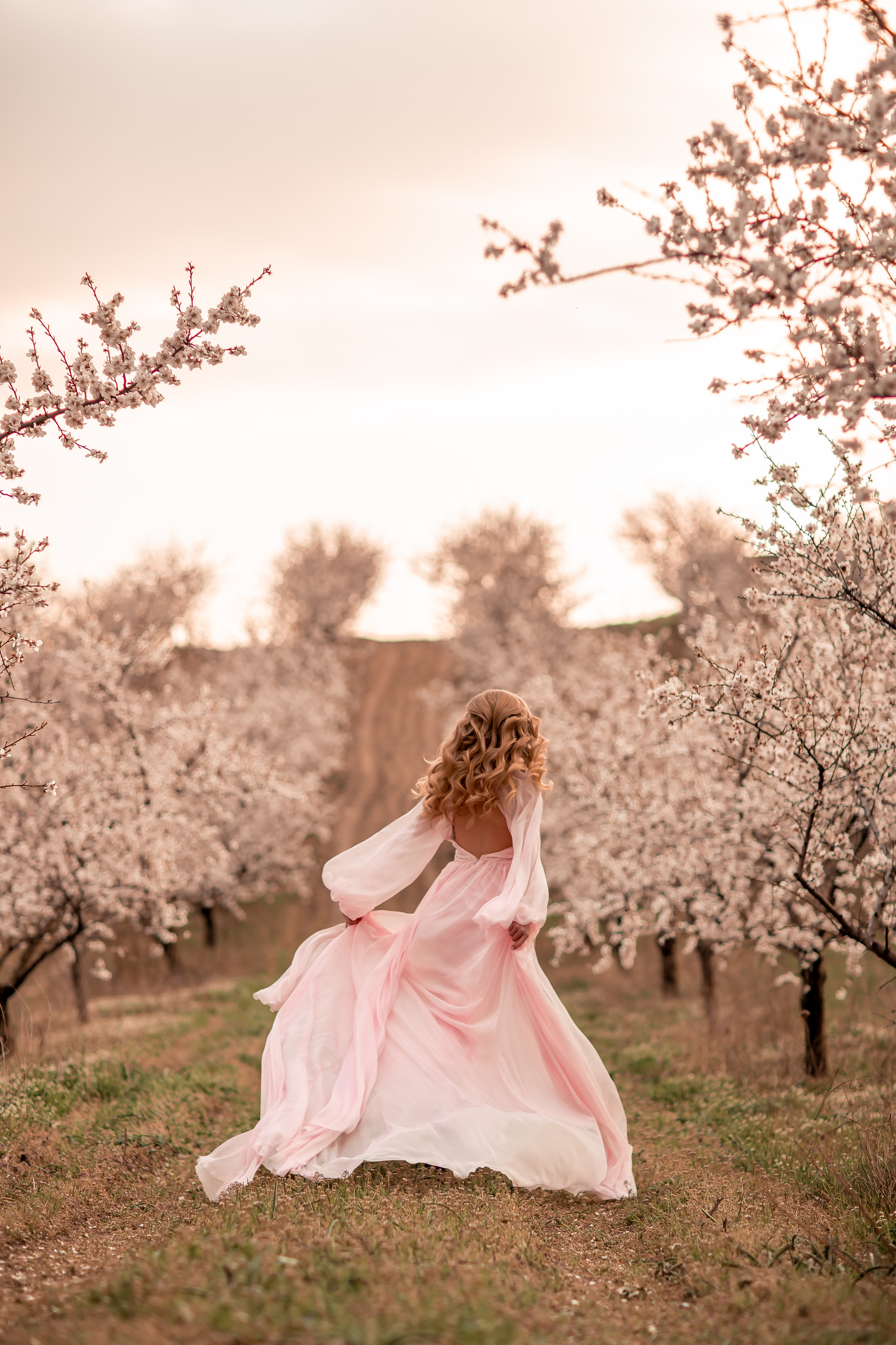 Цветение абрикосов, Крым. Свадебный и семейный фотограф. Фототуры по всему миру