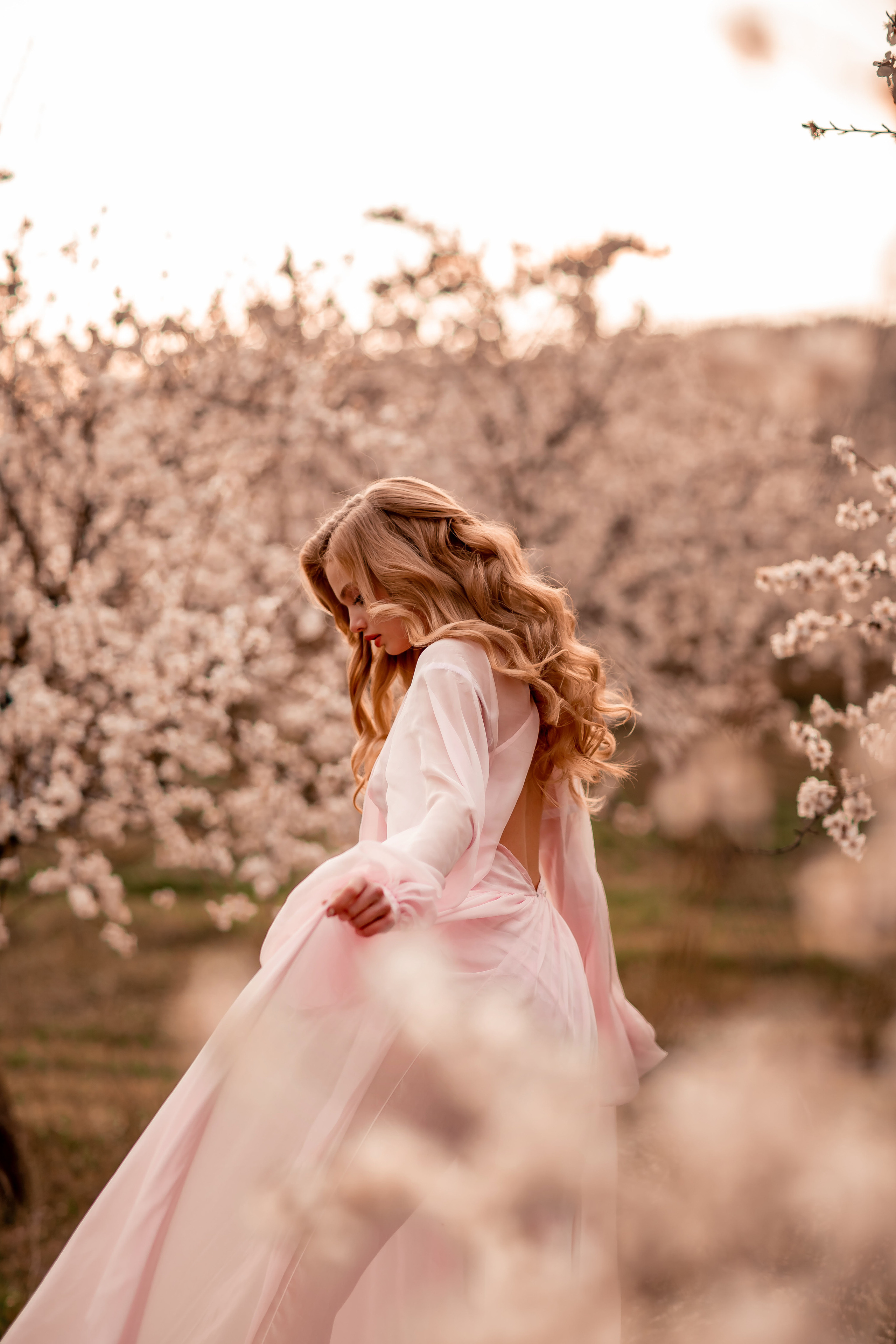 Цветение абрикосов, Крым. Свадебный и семейный фотограф. Фототуры по всему миру