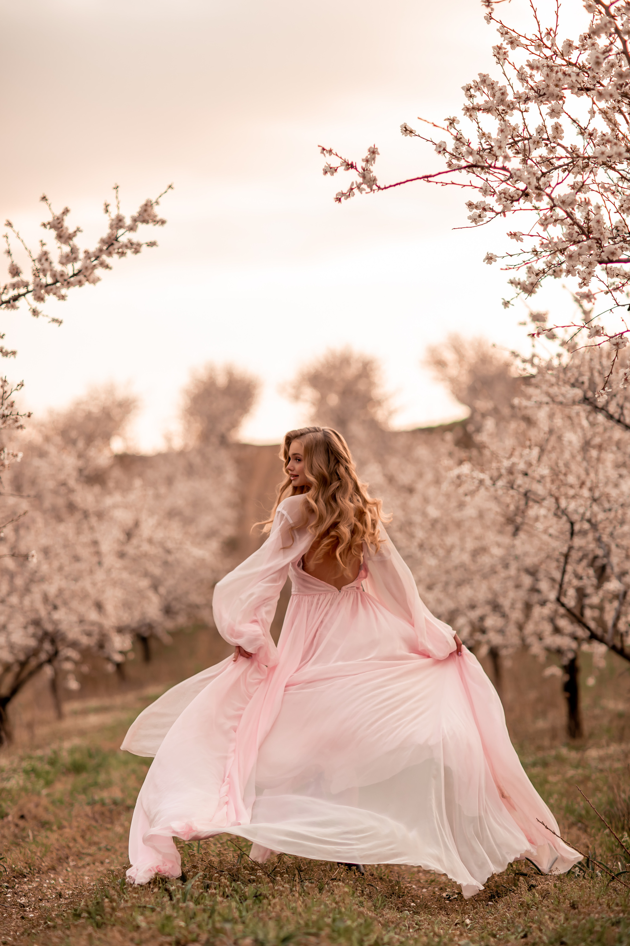 Цветение абрикосов, Крым. Свадебный и семейный фотограф. Фототуры по всему миру