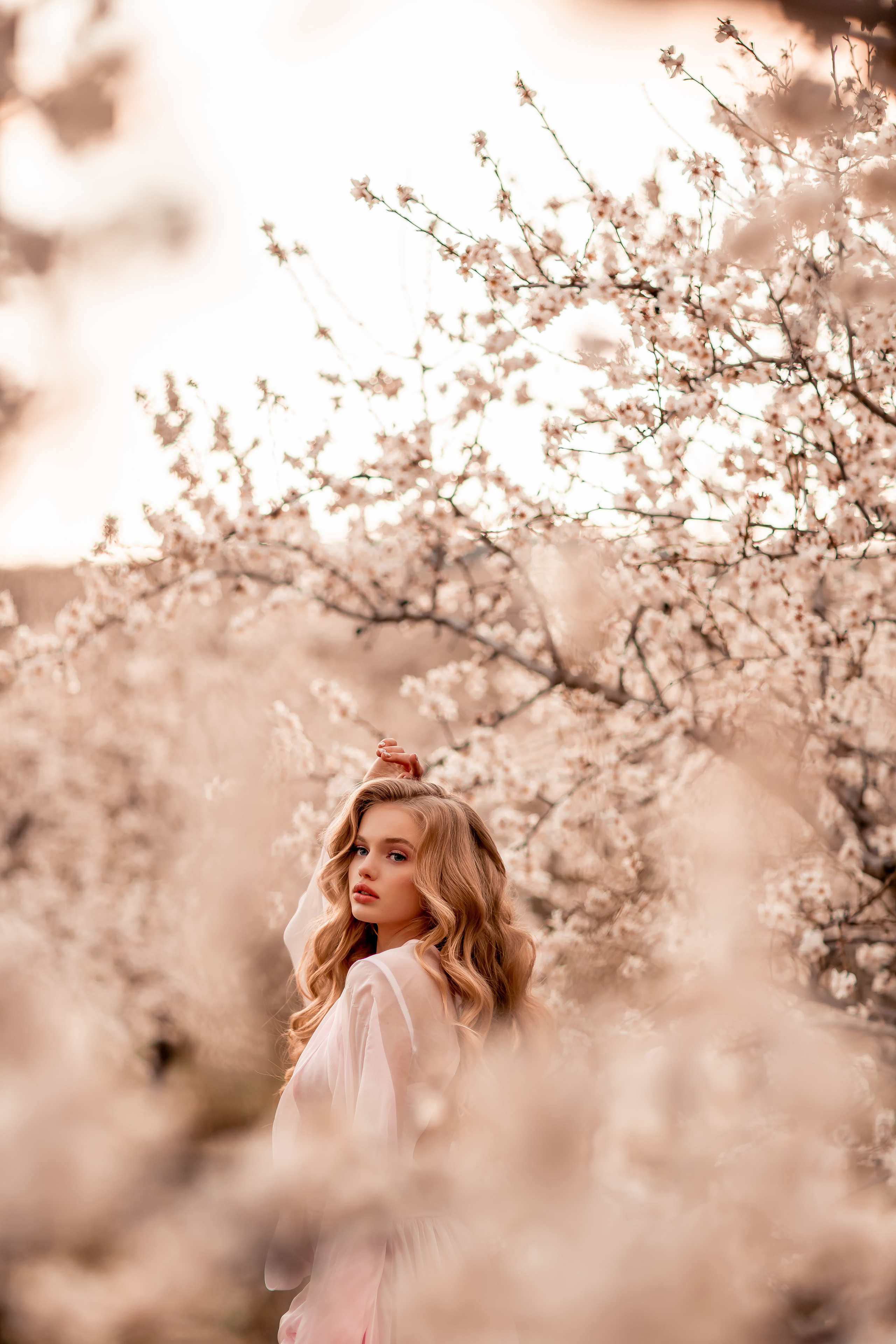 Цветение абрикосов, Крым. Свадебный и семейный фотограф. Фототуры по всему миру