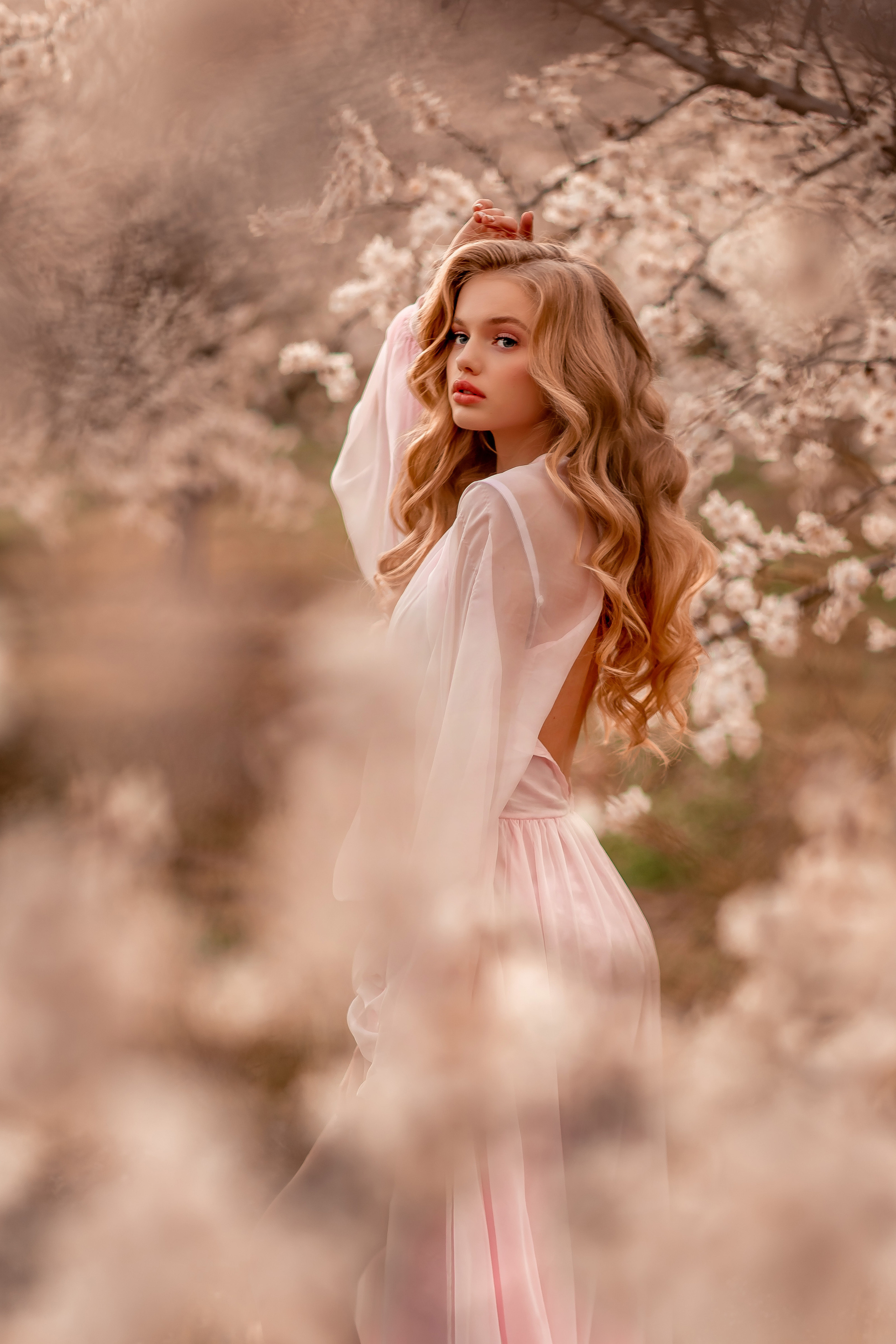 Цветение абрикосов, Крым. Свадебный и семейный фотограф. Фототуры по всему миру