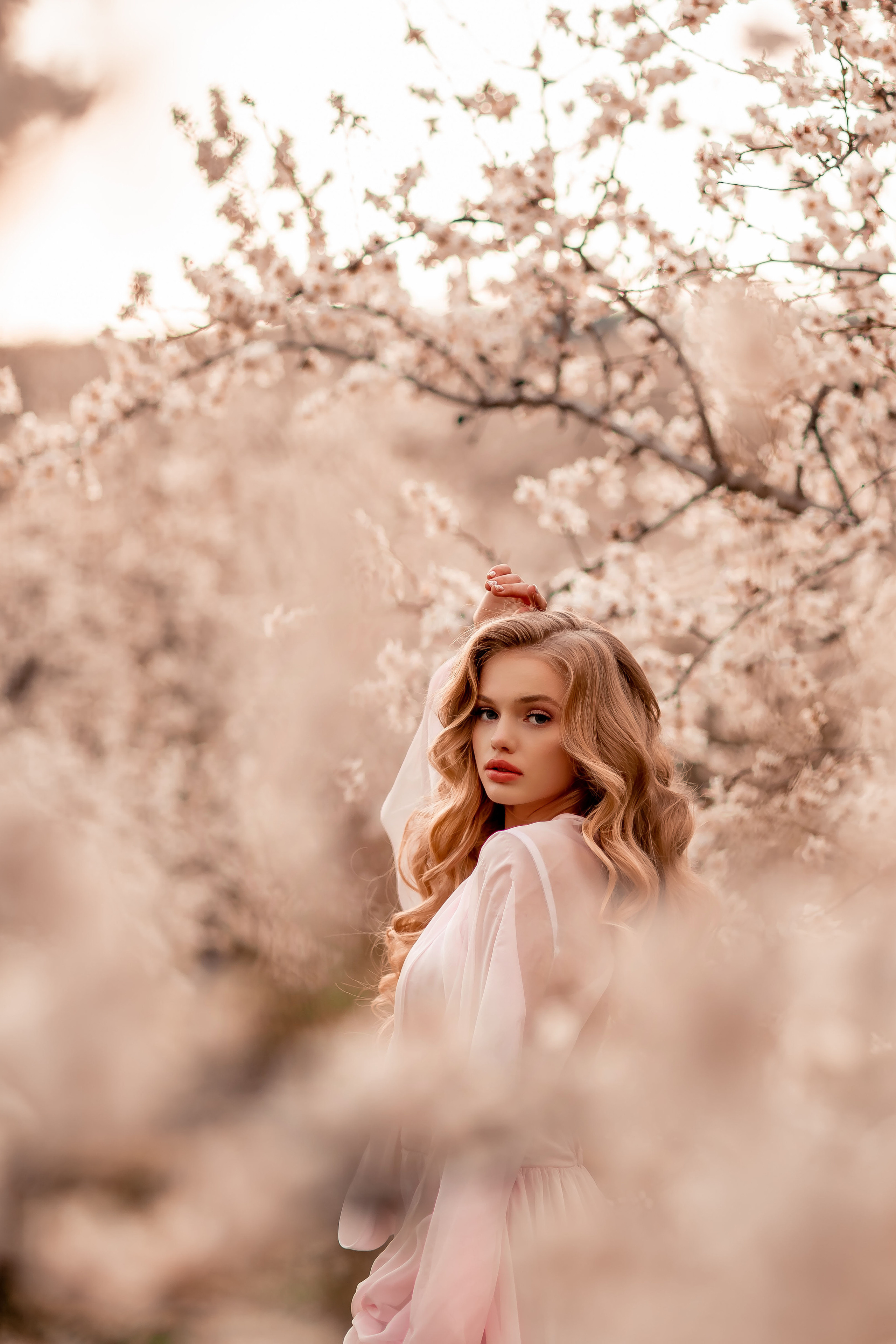 Цветение абрикосов, Крым. Свадебный и семейный фотограф. Фототуры по всему миру