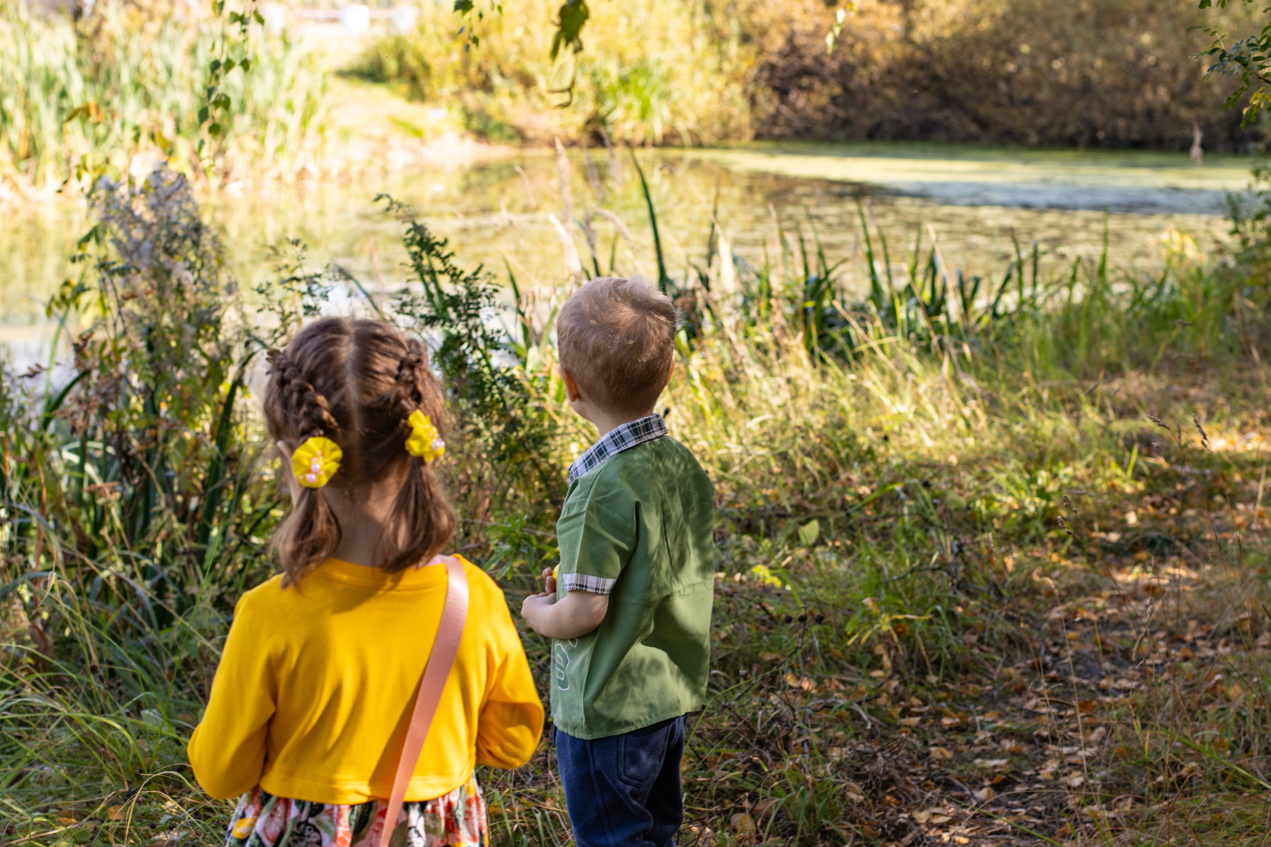 Саша и Маша лесная прогулка. Главная