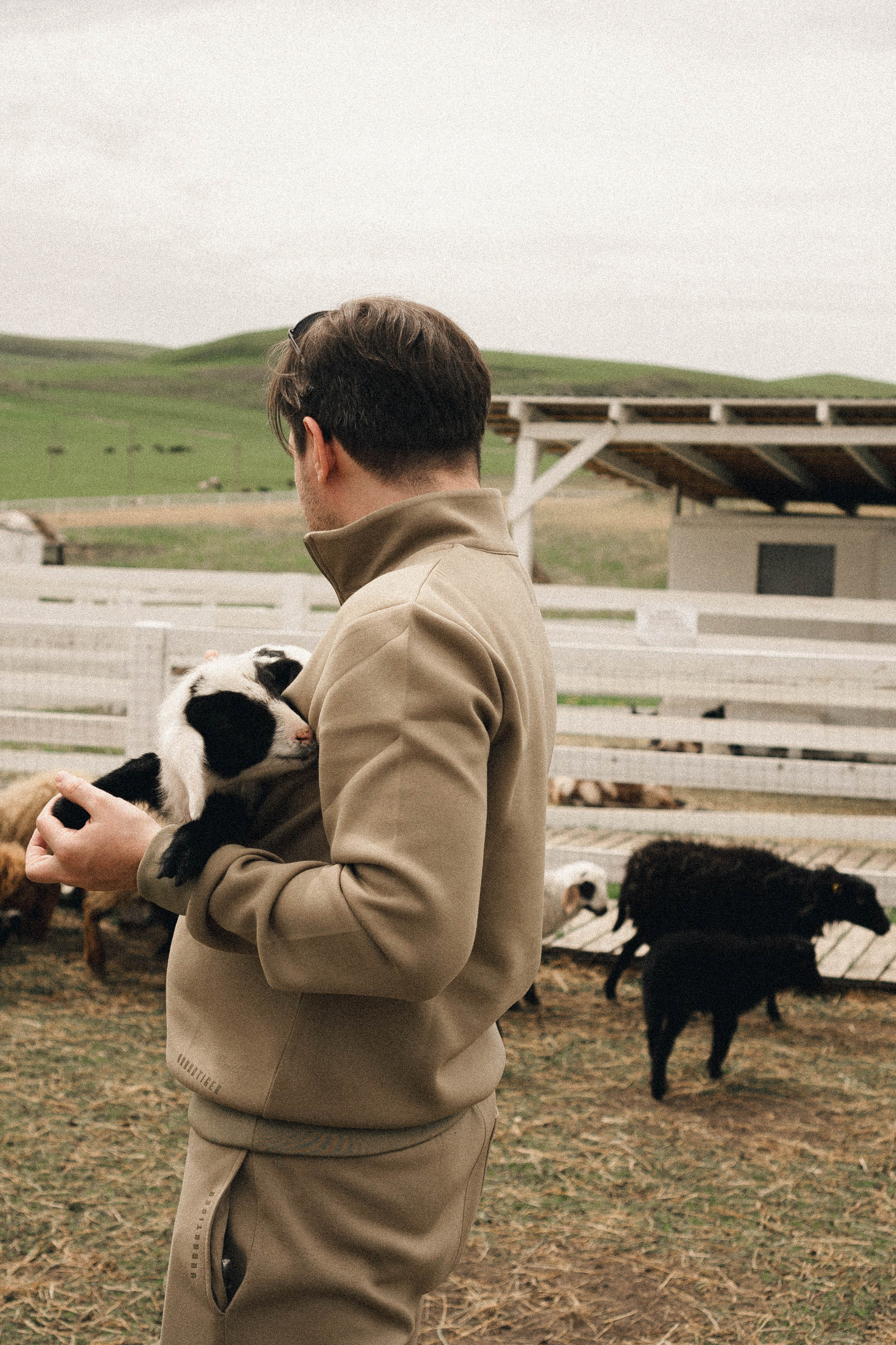 Ферма Альпак. Профессиональный фотограф, Санкт-Петербург — Виктория Богомолова