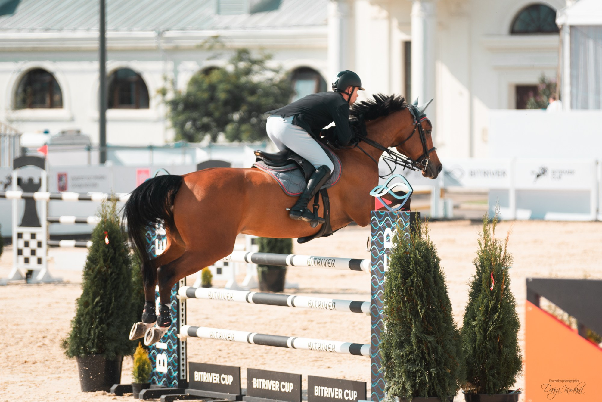 BITRIVER CUP 2023. Конный фотограф Куракина Дарья • Фотосессии с лошадьми
