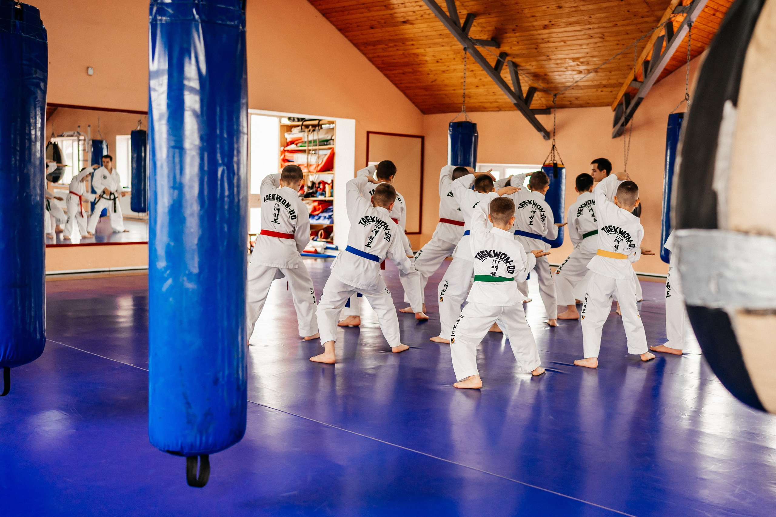 Съемка спортивных мероприятий. Taekwondo/2023. Семейный фотограф в Москве Ирина Жур