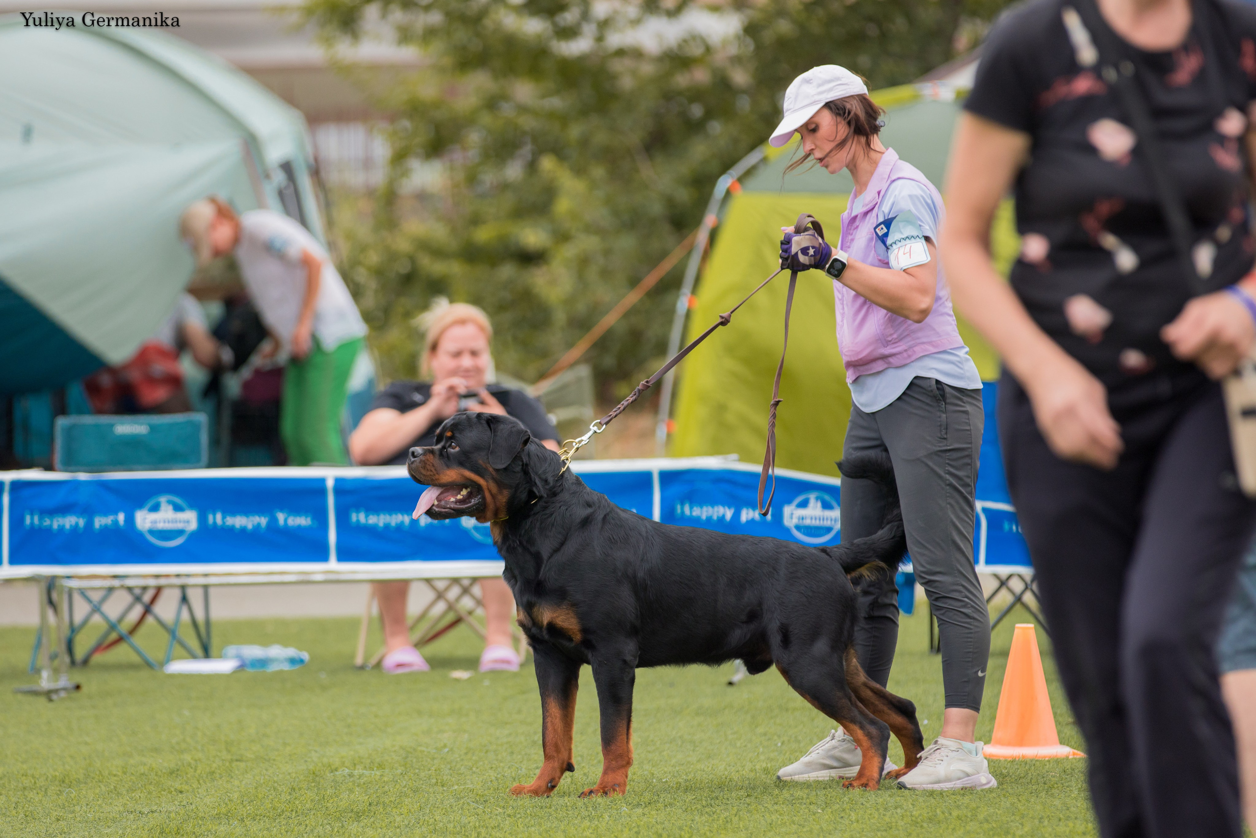 Анапа 16-17.09.2023 моно ротвейлеров. Фотограф-анималист Юлия Германика