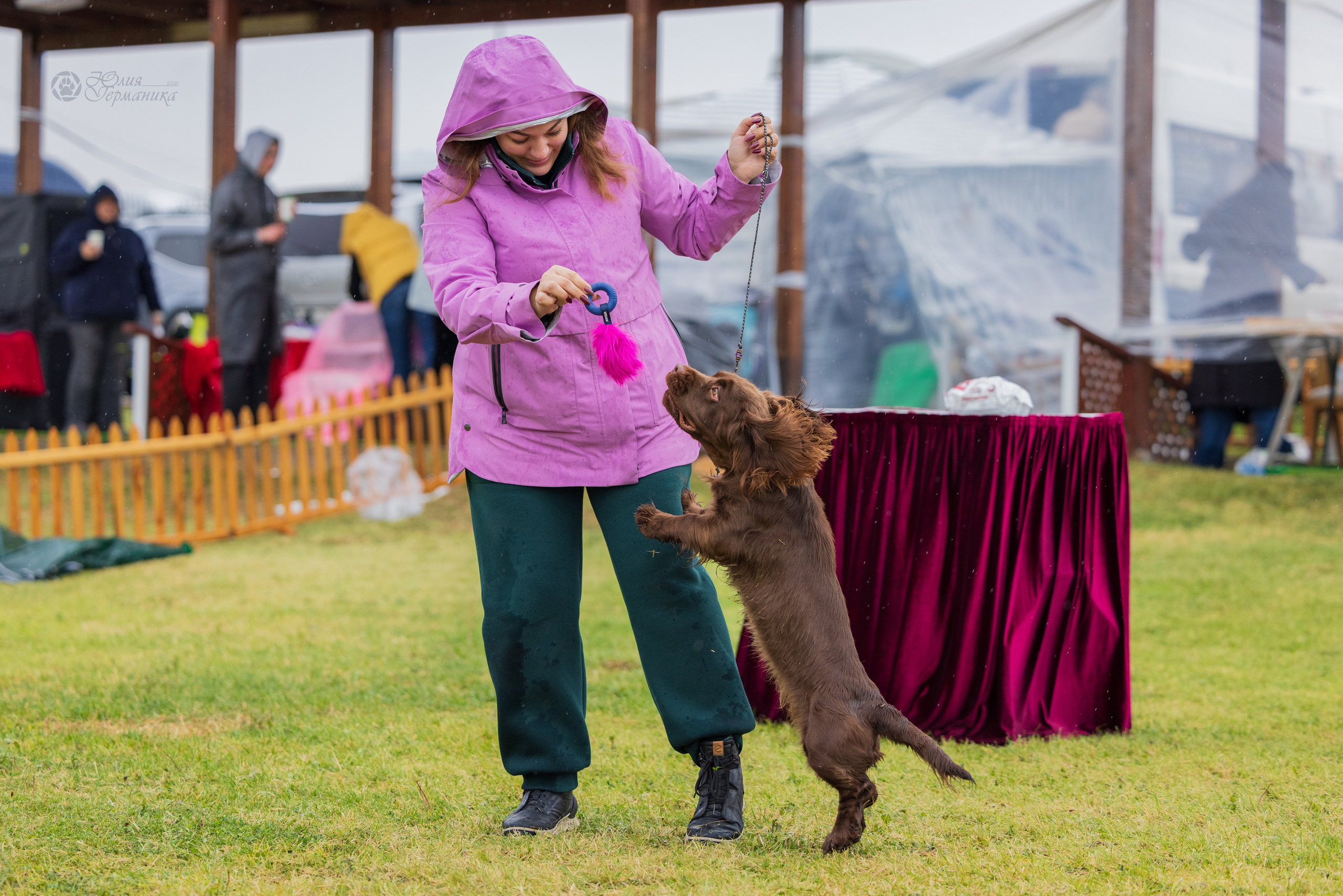 Армения,Ереван 3хCACIB 15-17.10.2024. Фотограф-анималист Юлия Германика