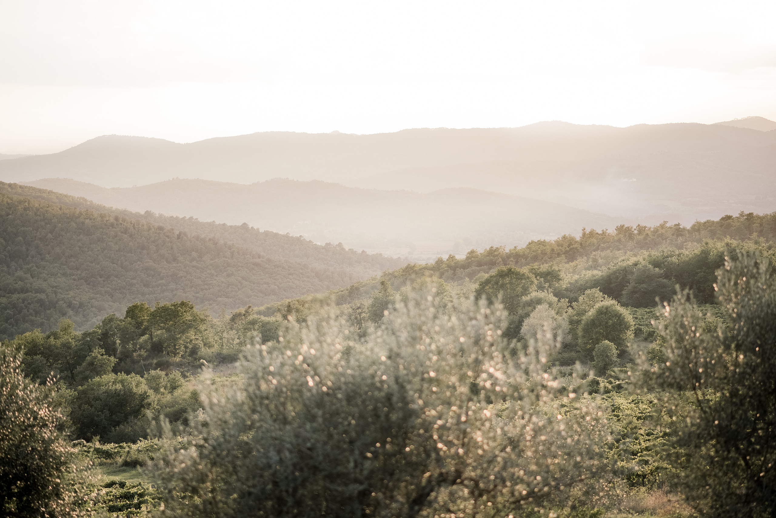 Нико и Мари. Свадебный фотограф в Минске, свадебный фотограф в Грузии, свадебный фо