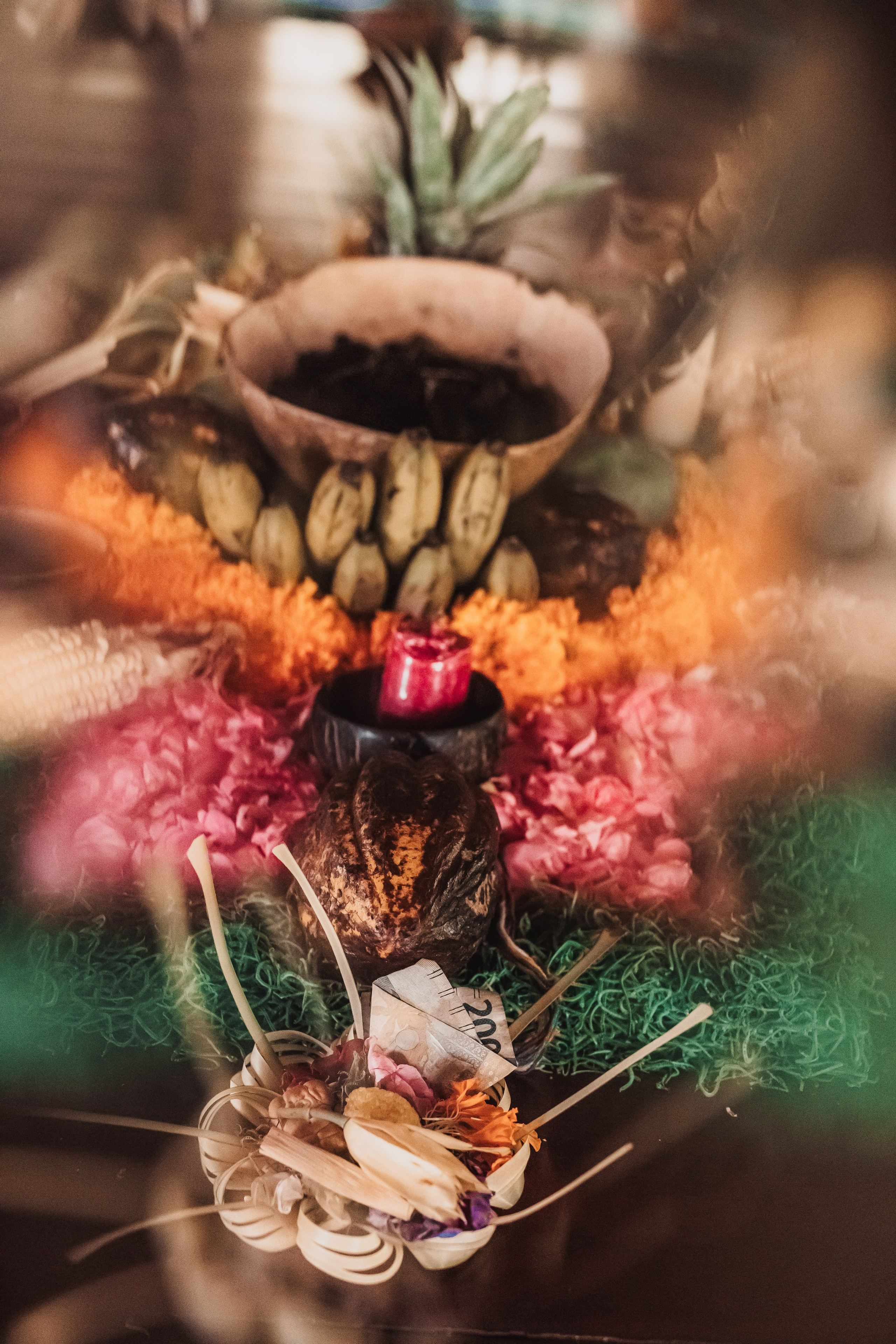 Cacao alchemy w Juan. Мариам Багдасарян