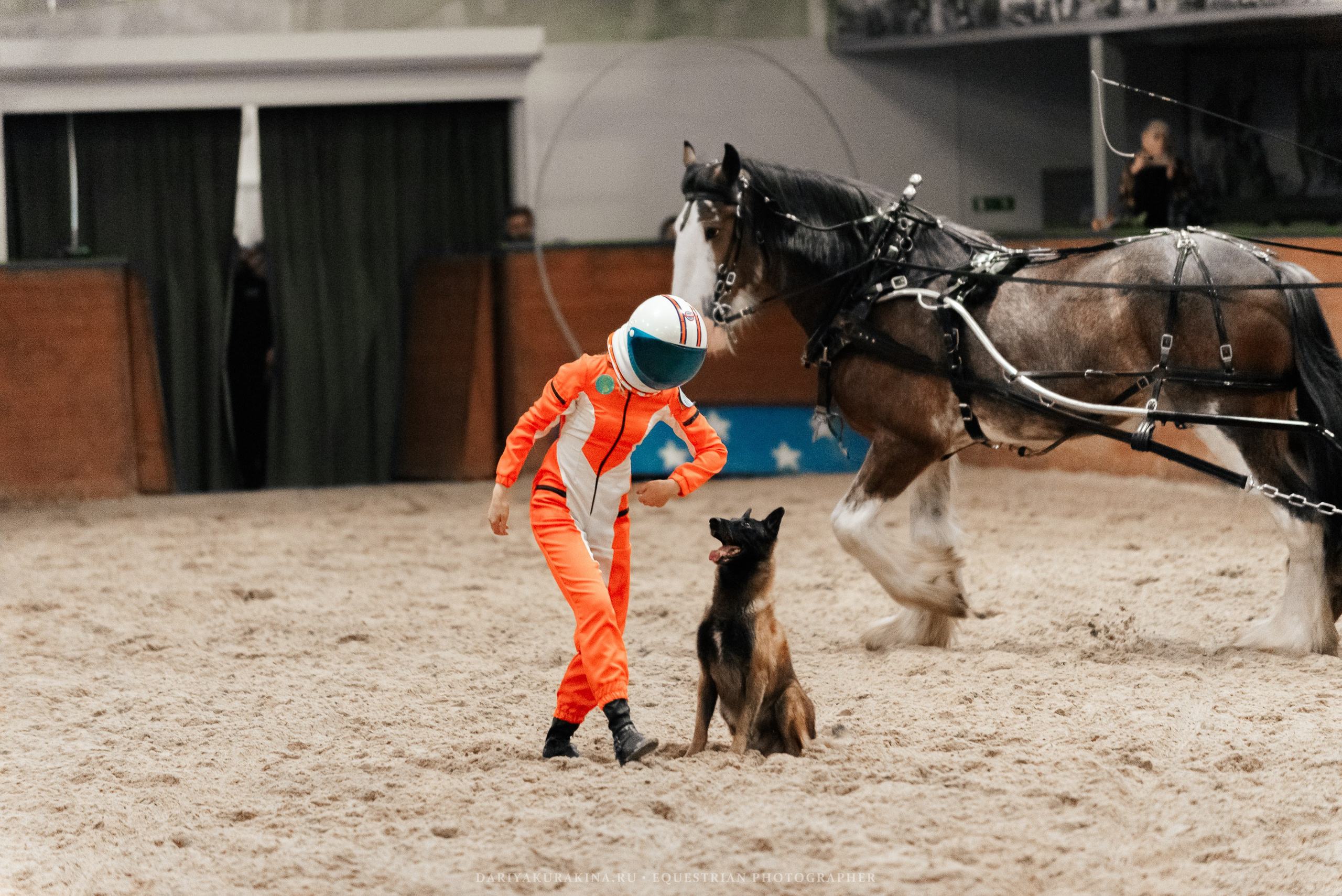 Конное представление «Дыхание Звёзд». Конный фотограф Куракина Дарья • Фотосессии с лошадьми