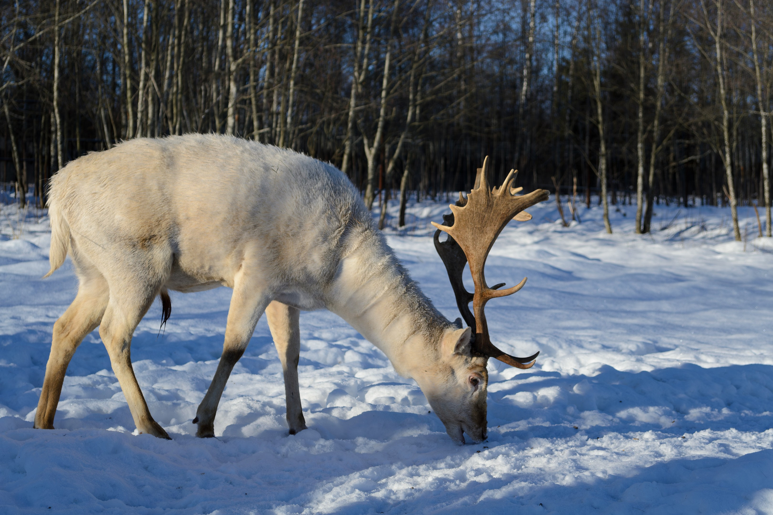Пейзаж и городские съёмки. Семейный, уличный и пейзажный фотограф в Москве Никифоров Виктор