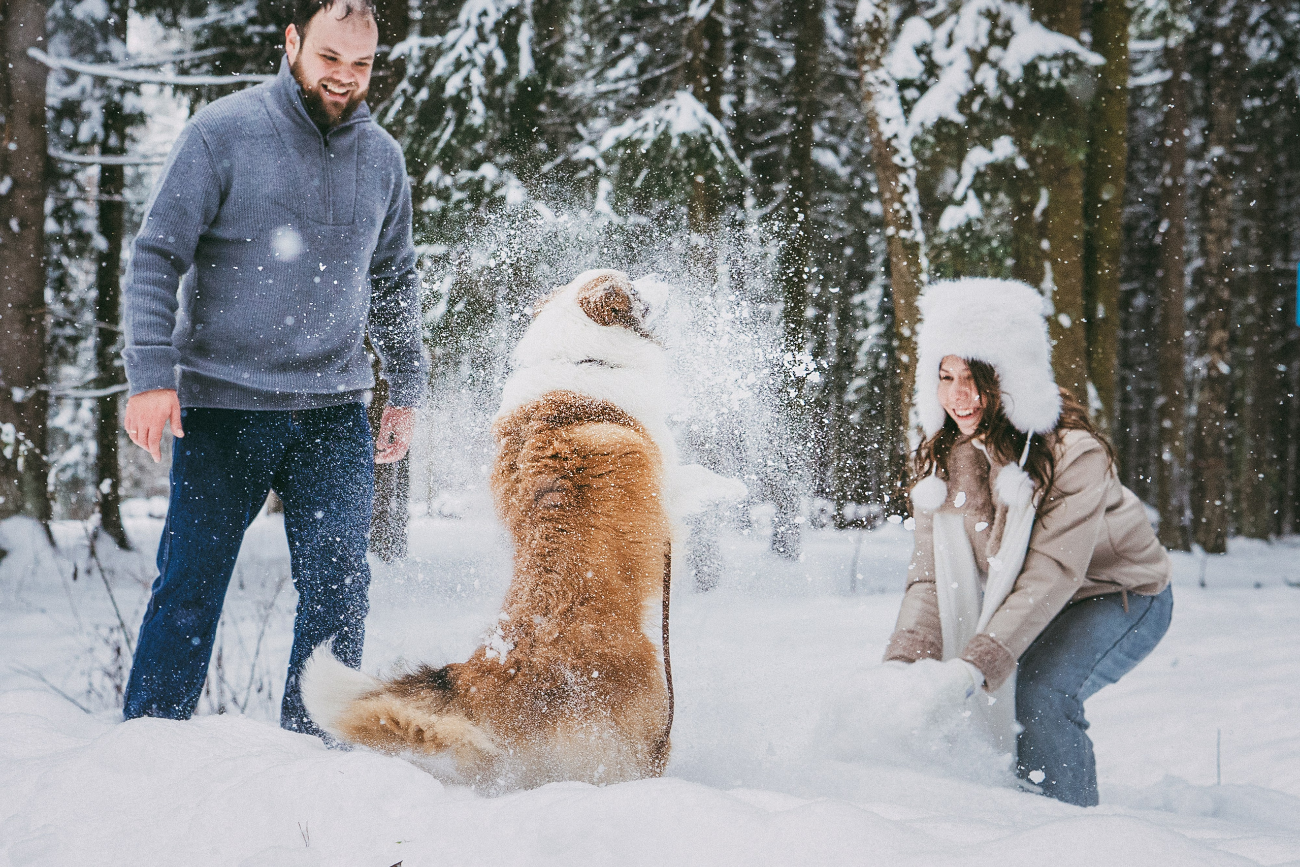 Катя, Анатолий и Елай. Фотограф анималист в Москве и Санкт-Петербурге Свиридова Анна