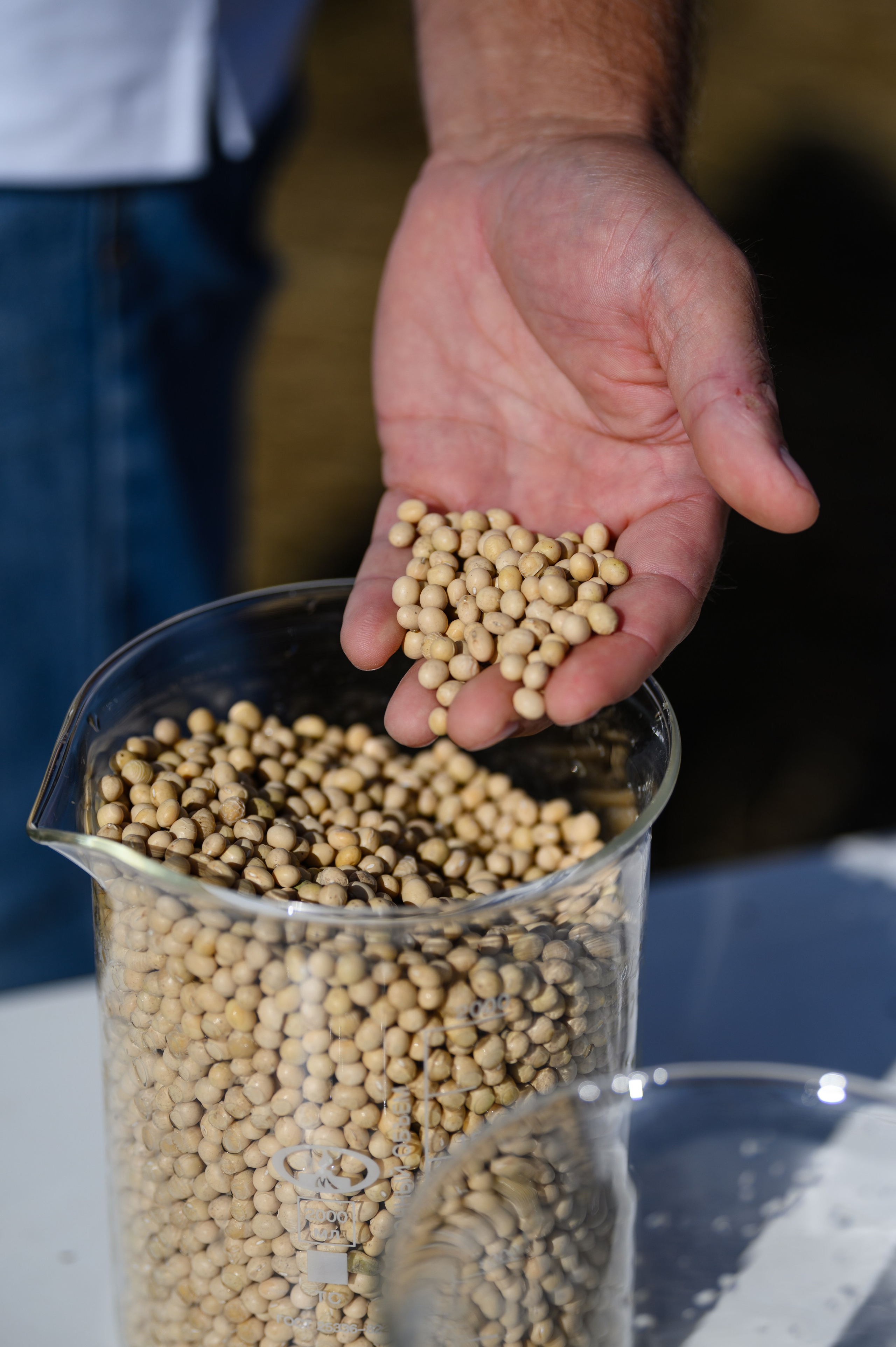 Проекты. Профессиональный фотограф Вячеслав Плацында | Липецк |