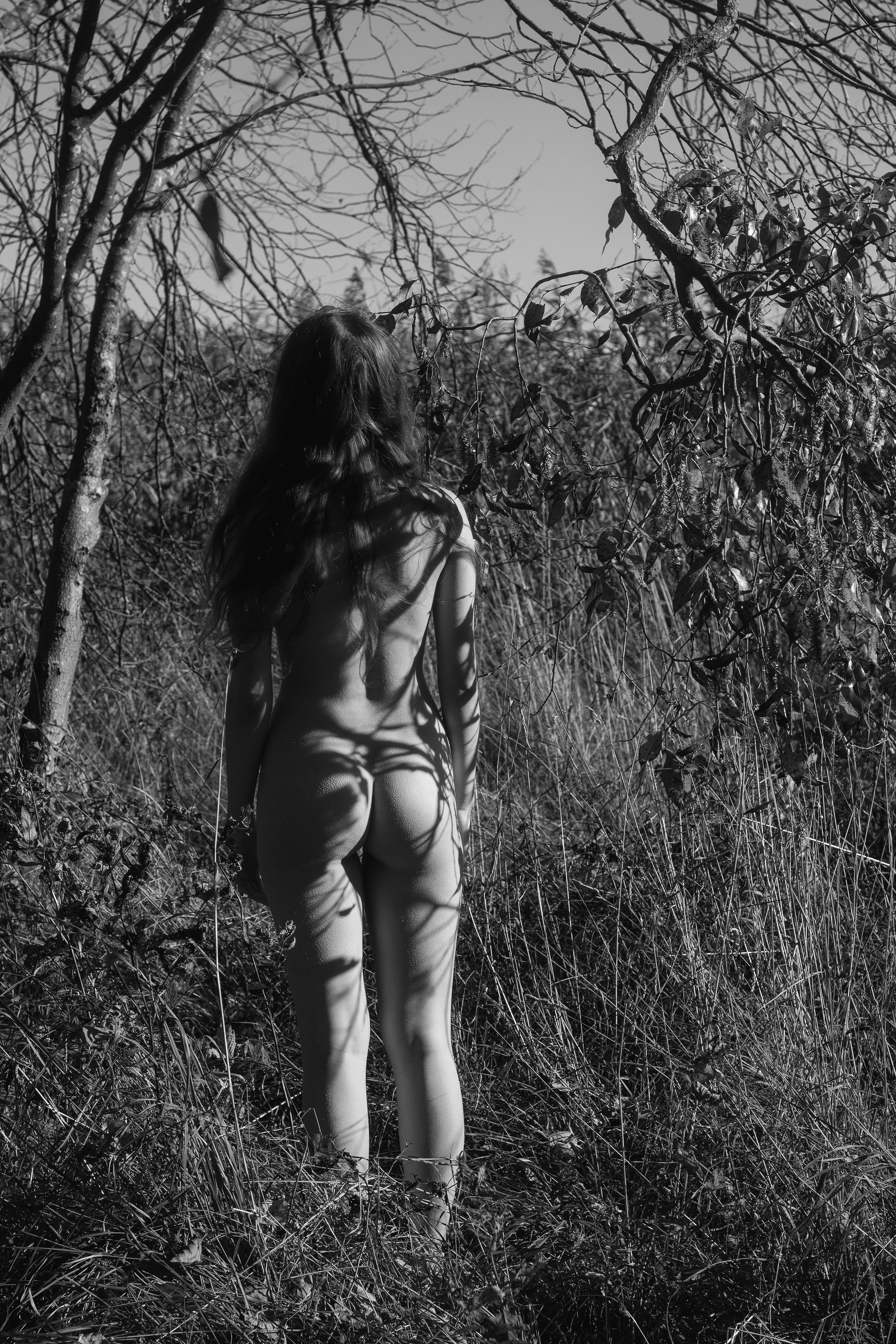 Постеры. Orliphoto_