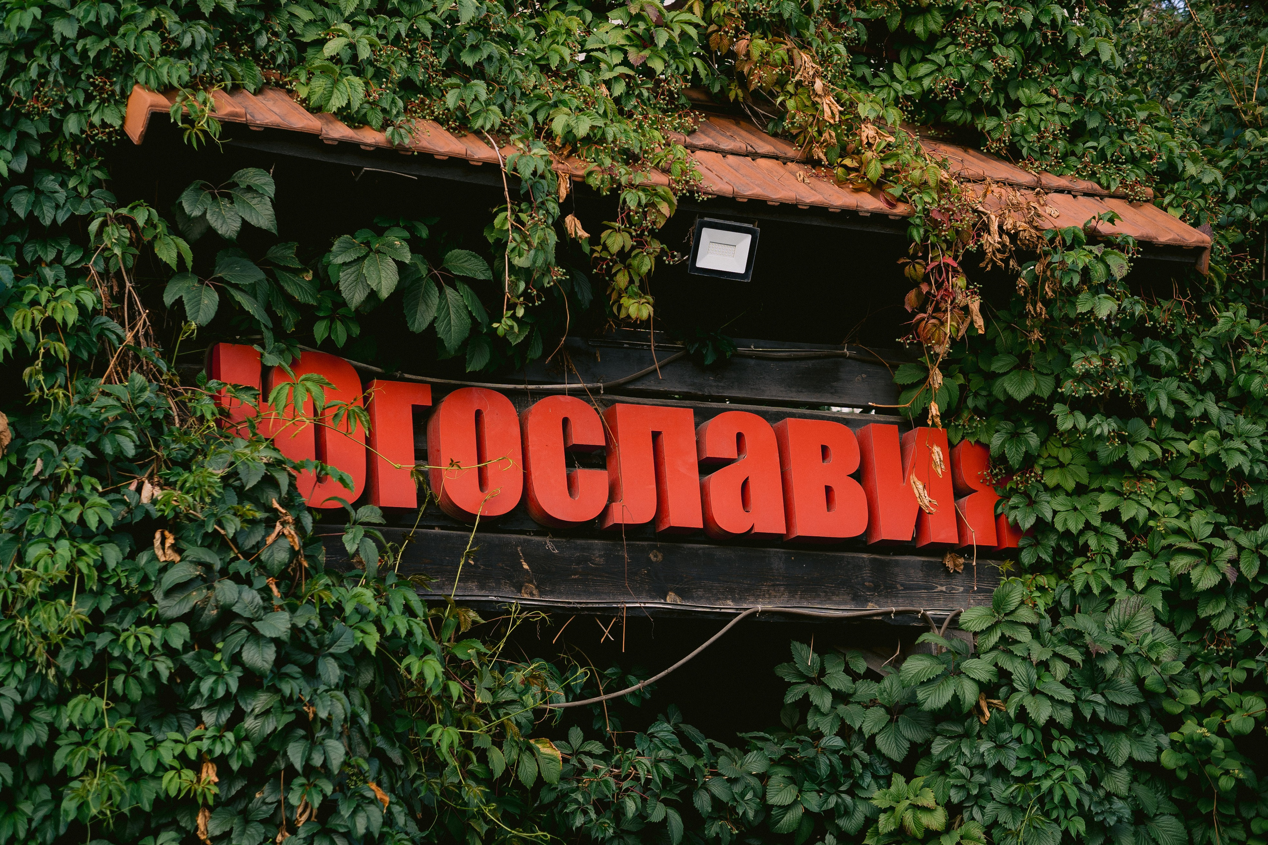 Максим и Наталья. Свадебная фотосъемка. Свадебный фотограф в Воронеже Александр Работкин