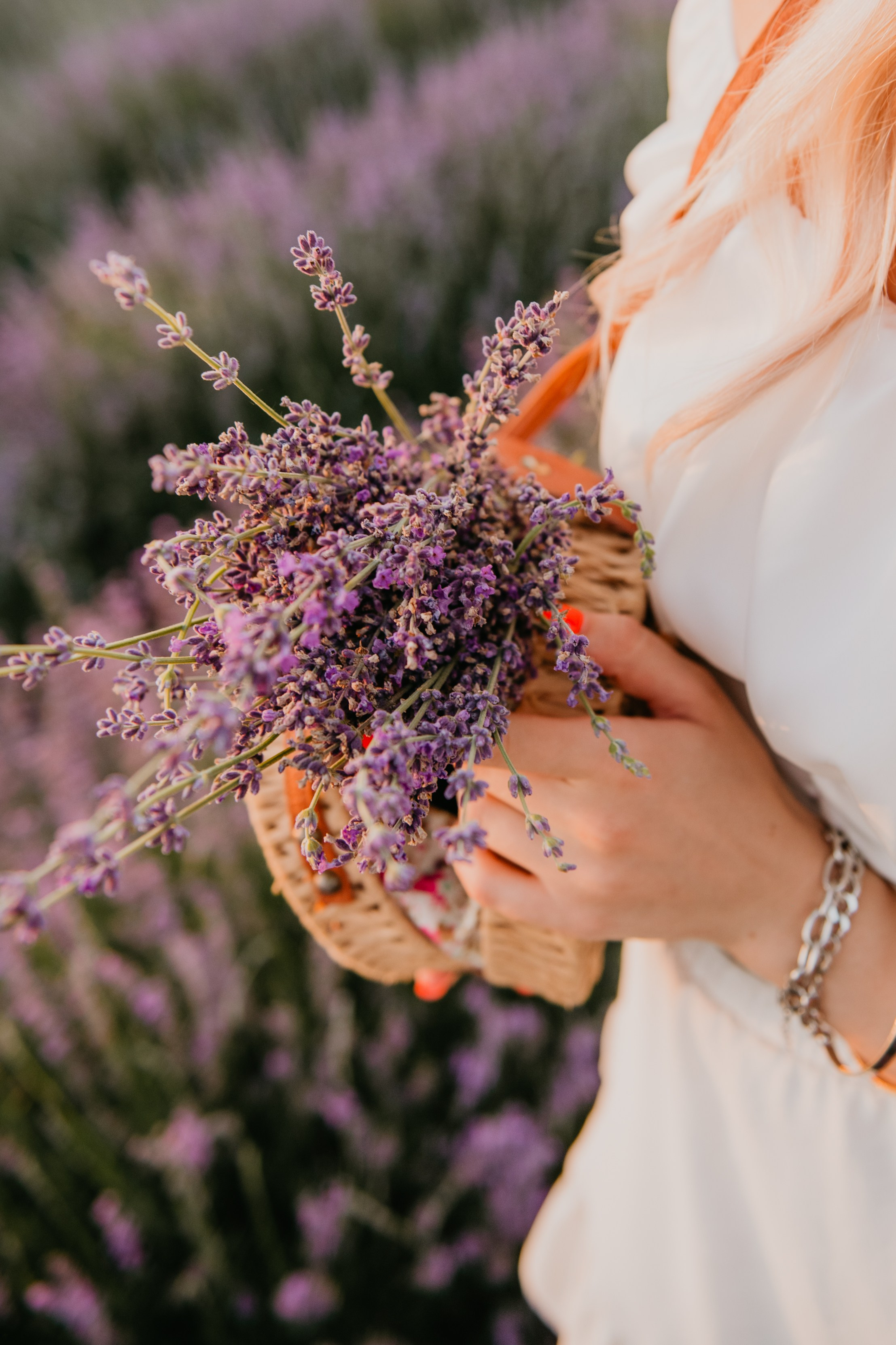 Лавандовая история. Детский и семейный фотограф в Армавире Даша Зубкова