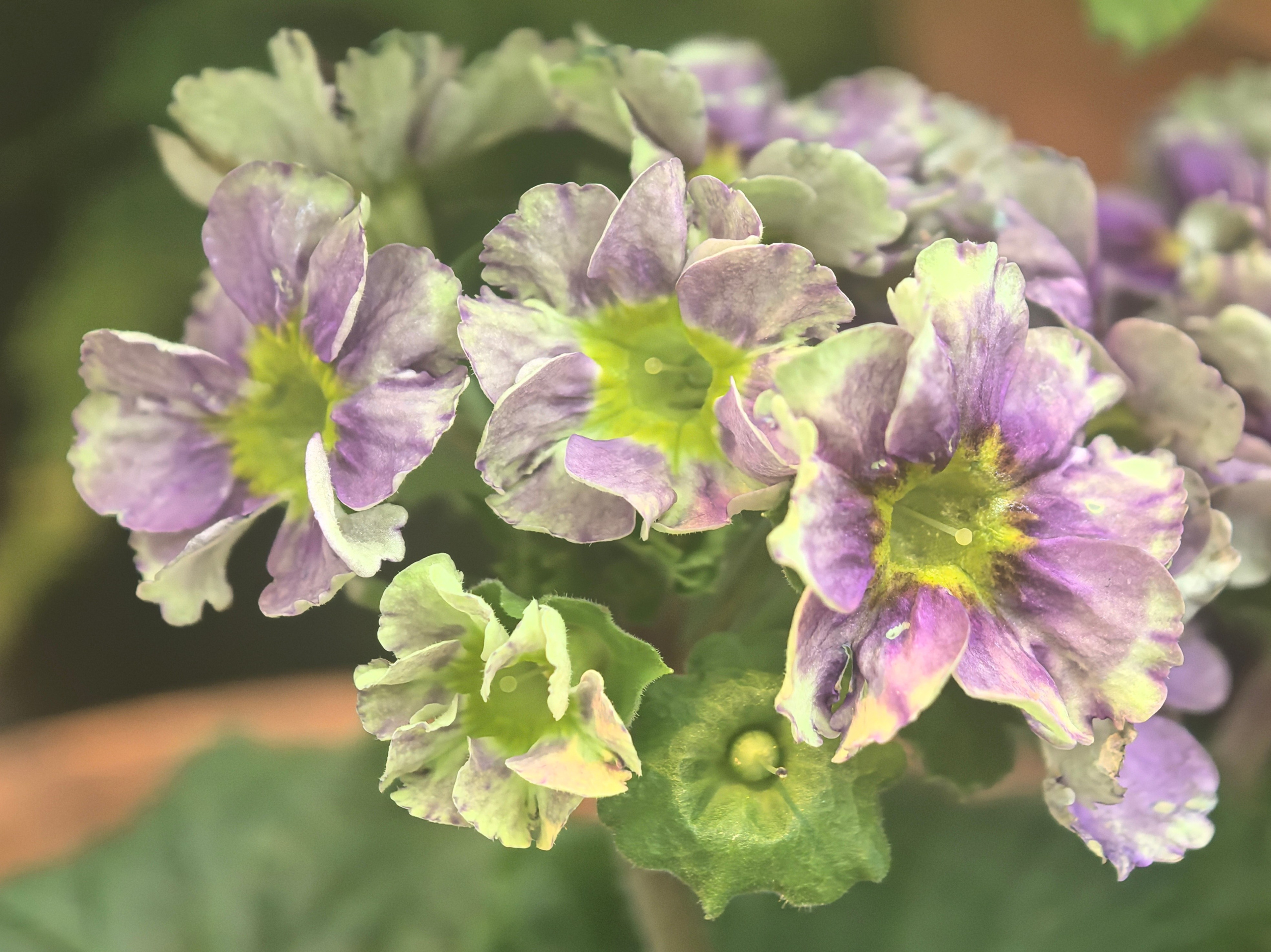 ПочтиМАКРО. Школьные выпускные альбомы в Москве Марина Николаева