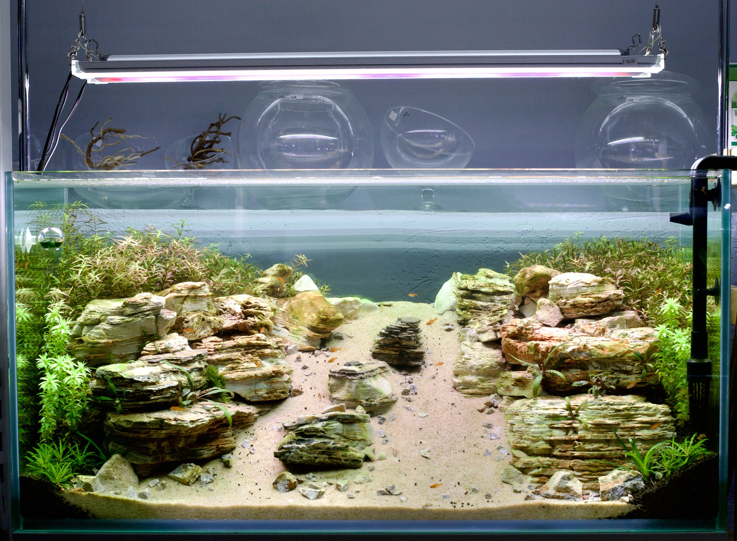 Чудесная природа. Школьные выпускные альбомы в Москве Марина Николаева