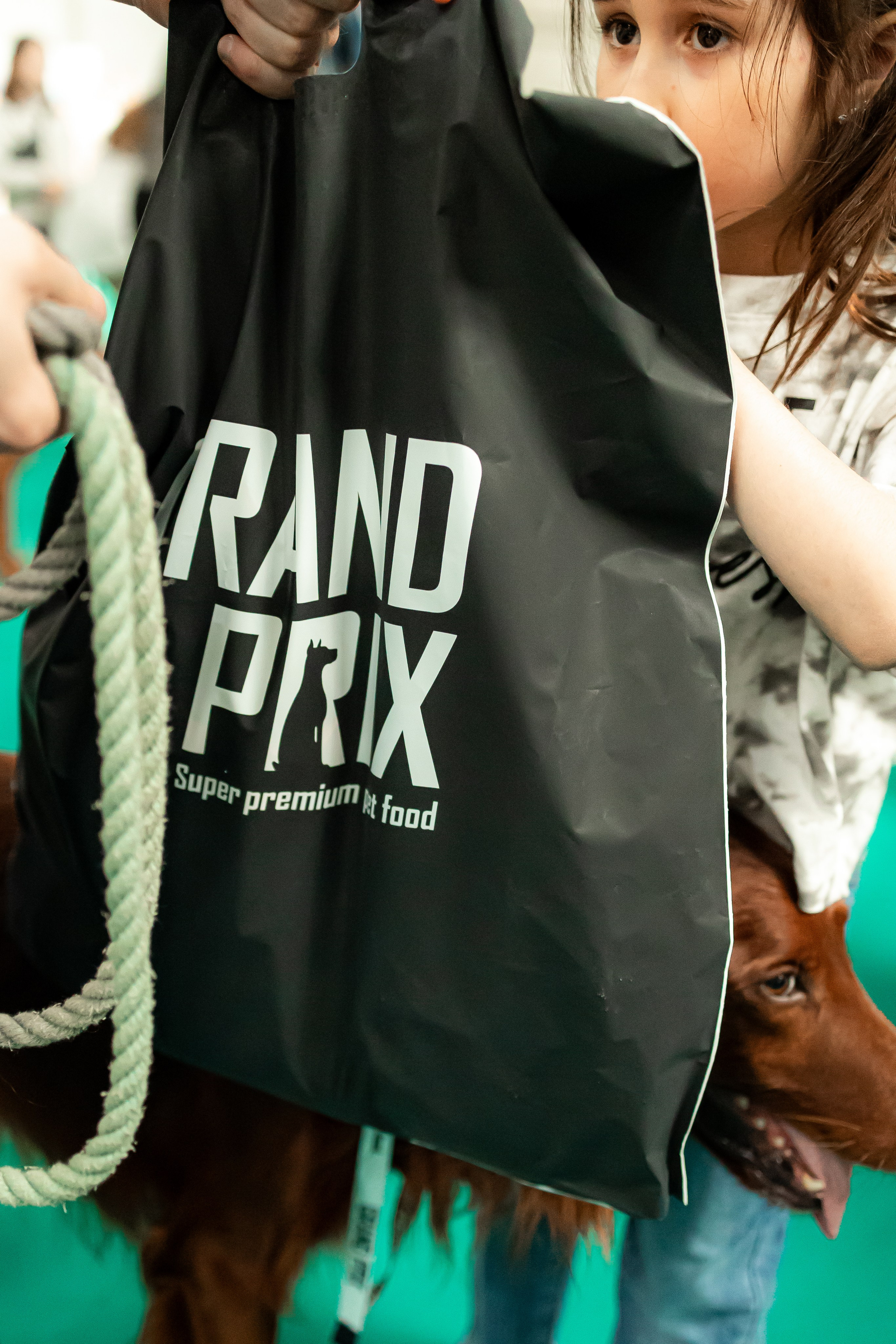 Выставка сеттеров 19.05.24