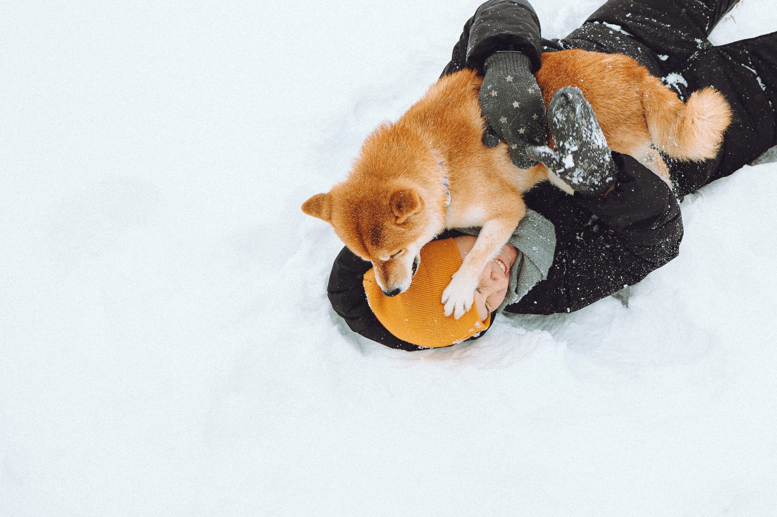 Настя и Ронин