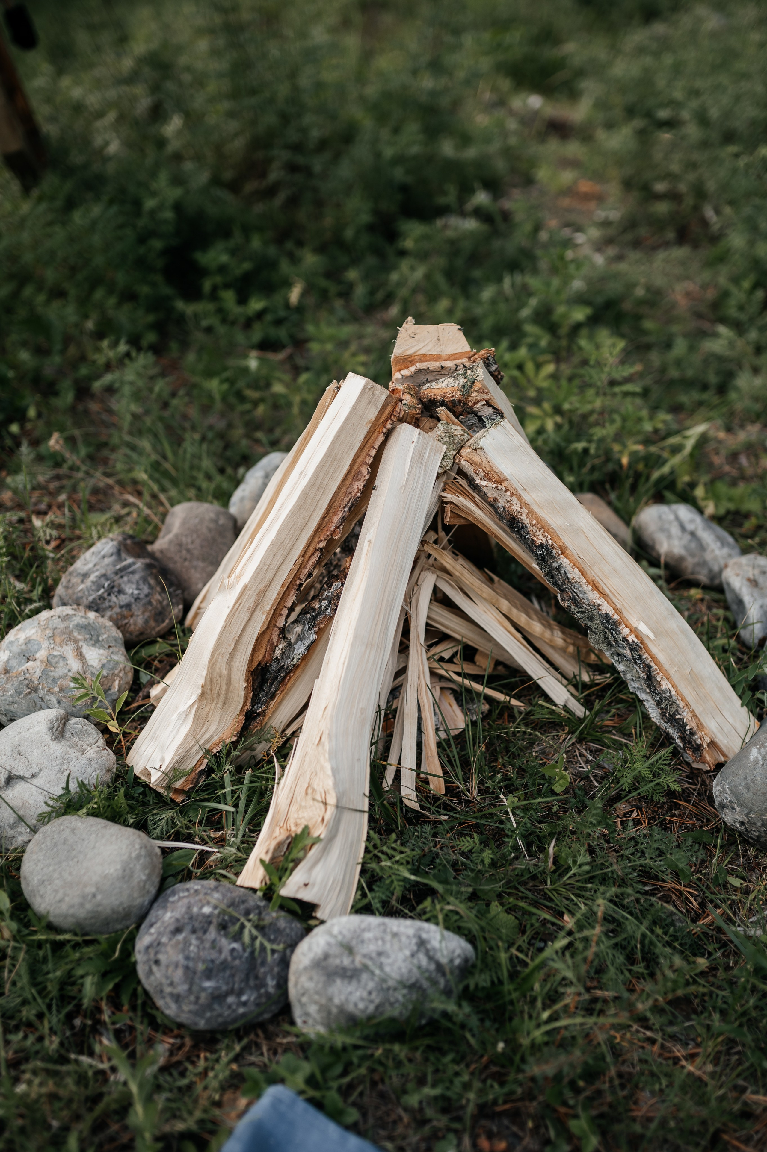 Паша и Даша. Свадебная  съемка на Алтае
