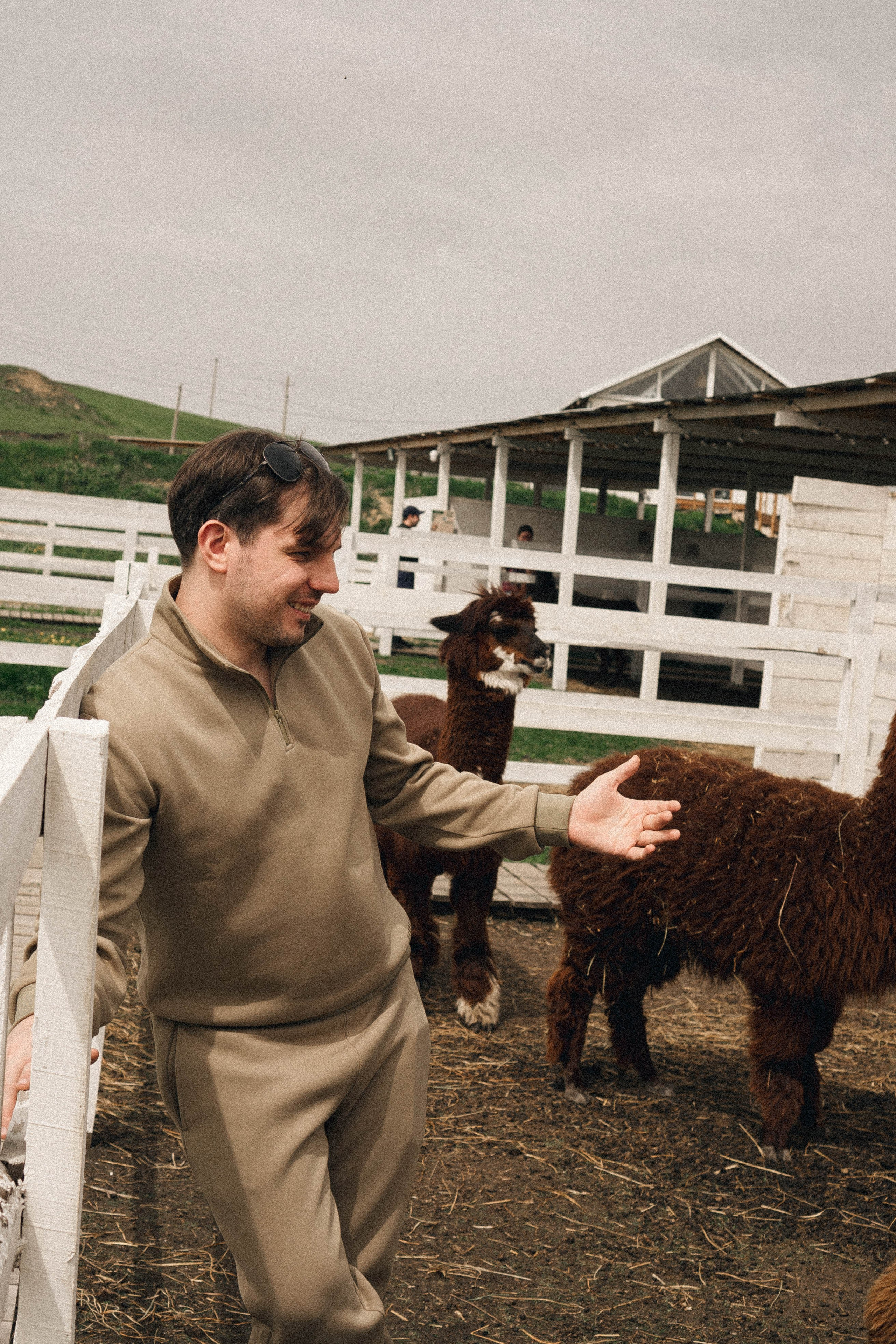 Ферма Альпак. Профессиональный фотограф, Санкт-Петербург — Виктория Богомолова