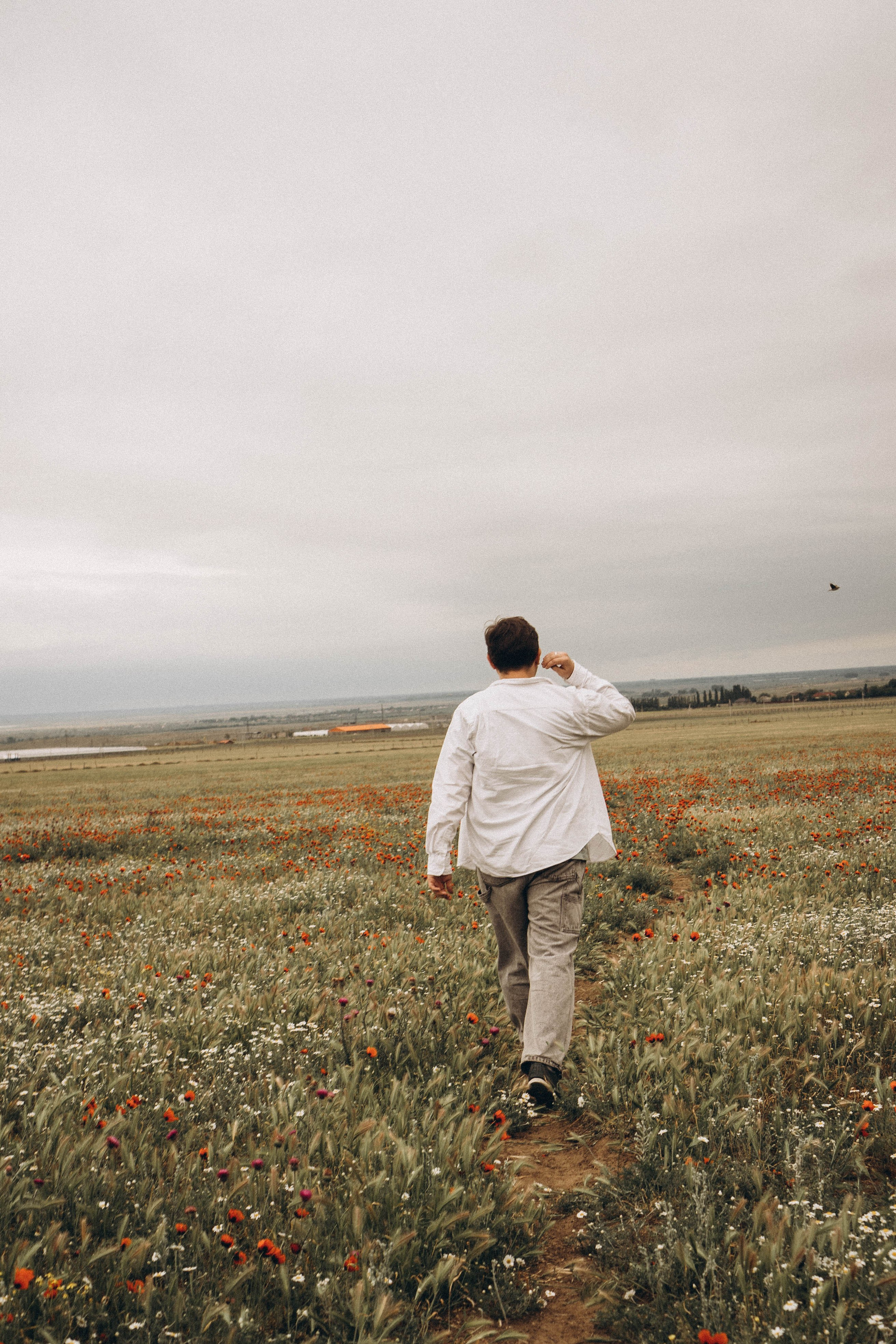 Маки. Профессиональный фотограф, Санкт-Петербург — Виктория Богомолова
