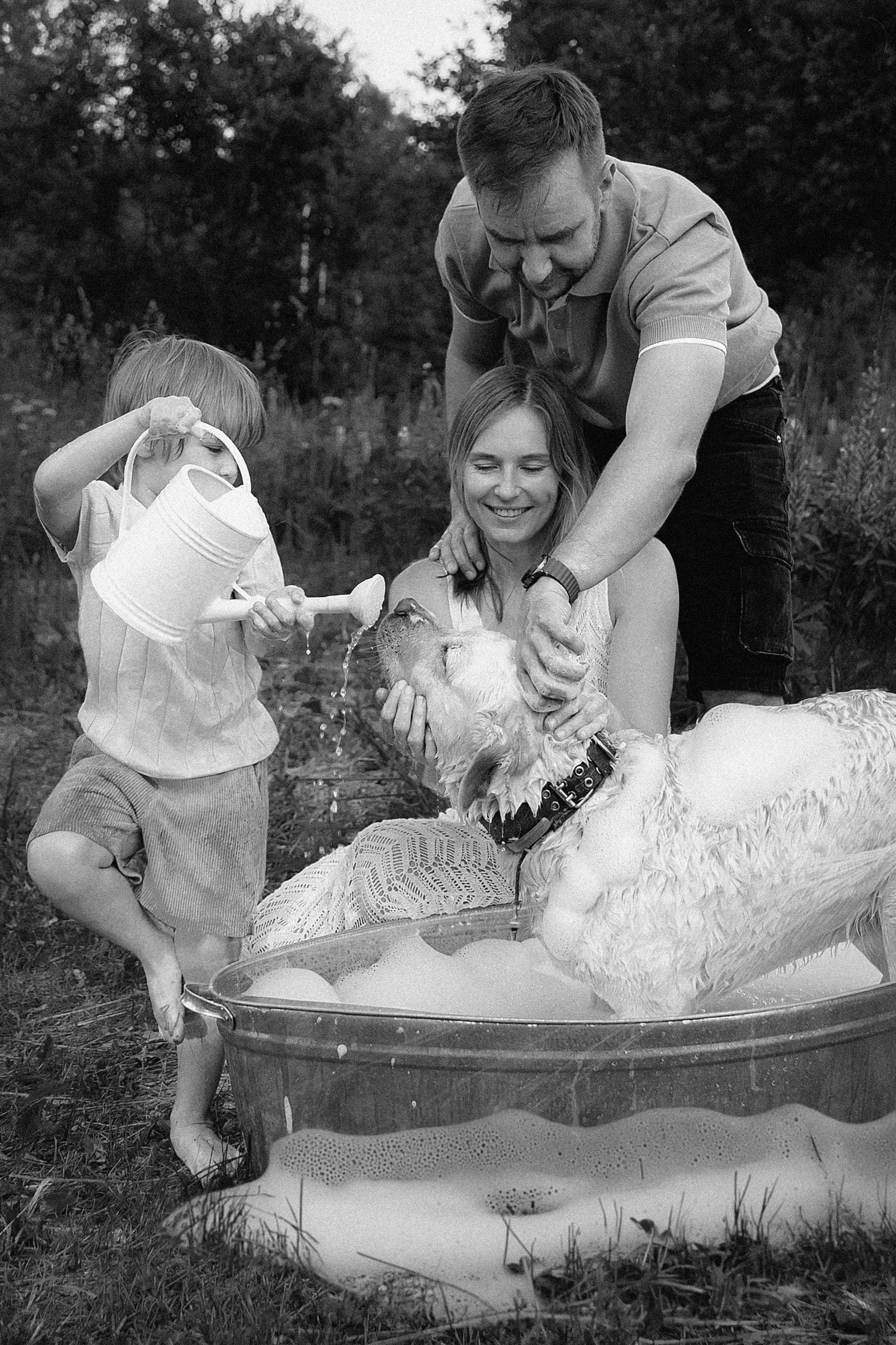 Домик на дереве. Фотограф Алина Ионычева в Новосибирске