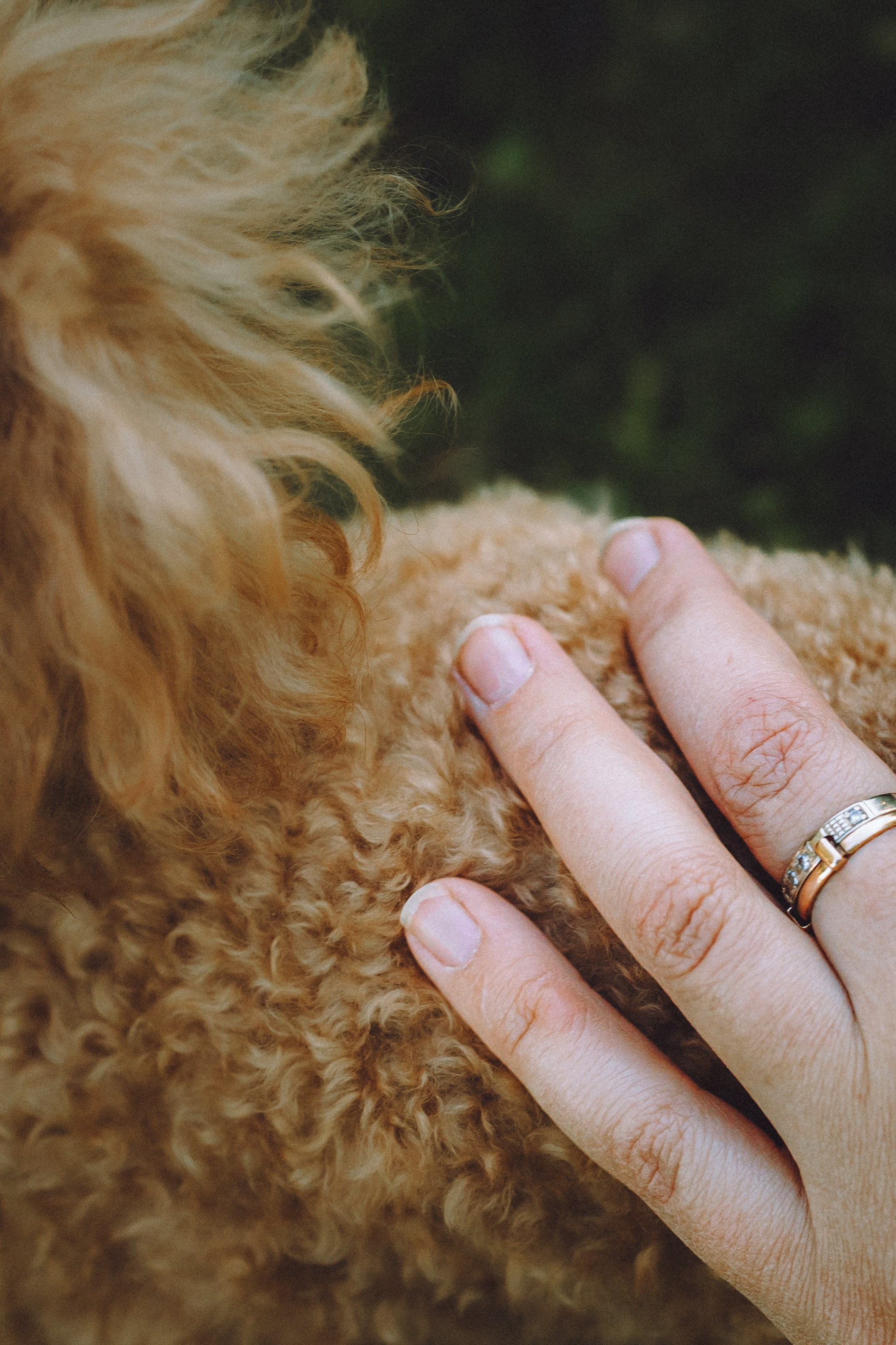 Марья и Буба