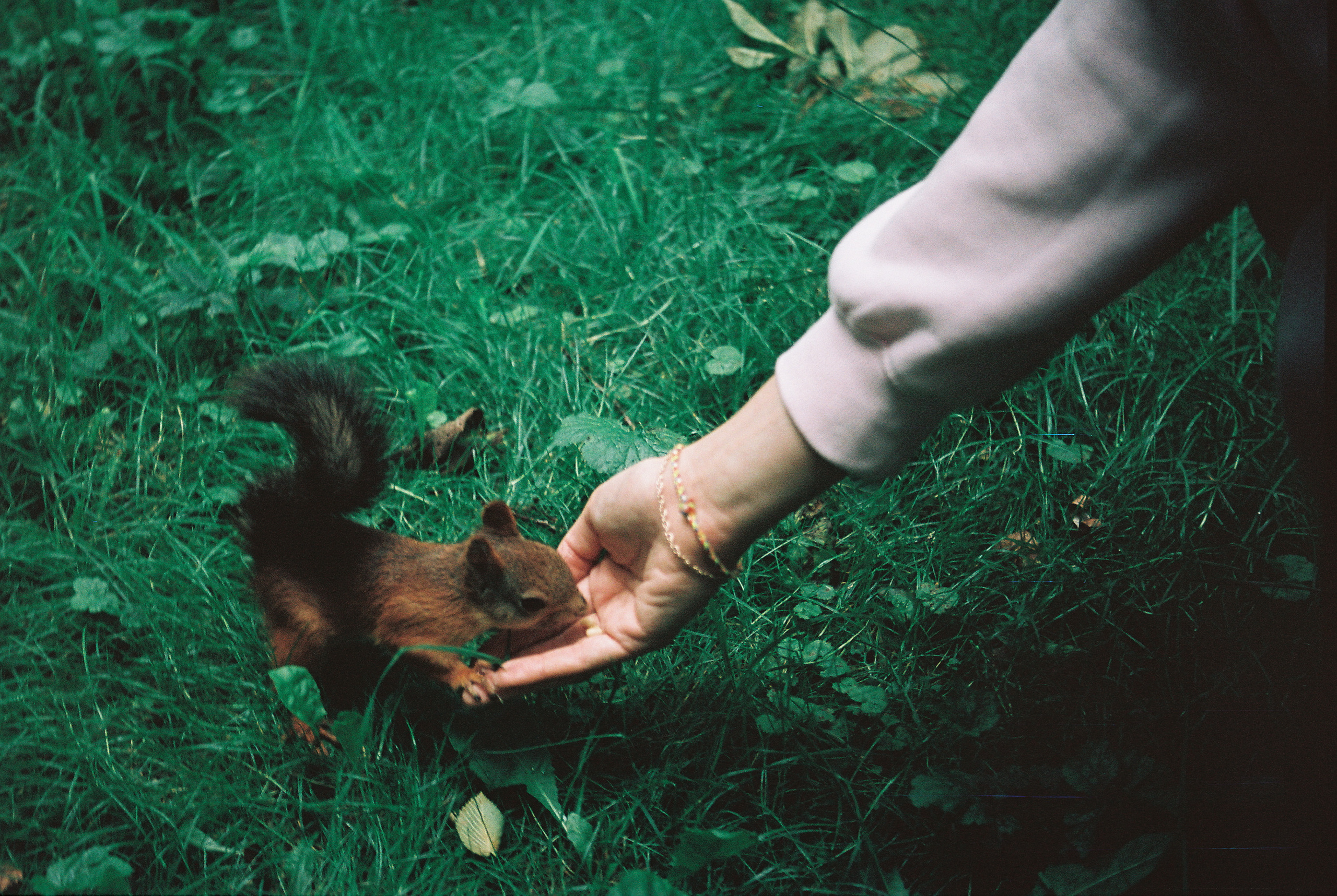 Фотограф Ринат Бархатов | Photographer Rinat Barkhatov