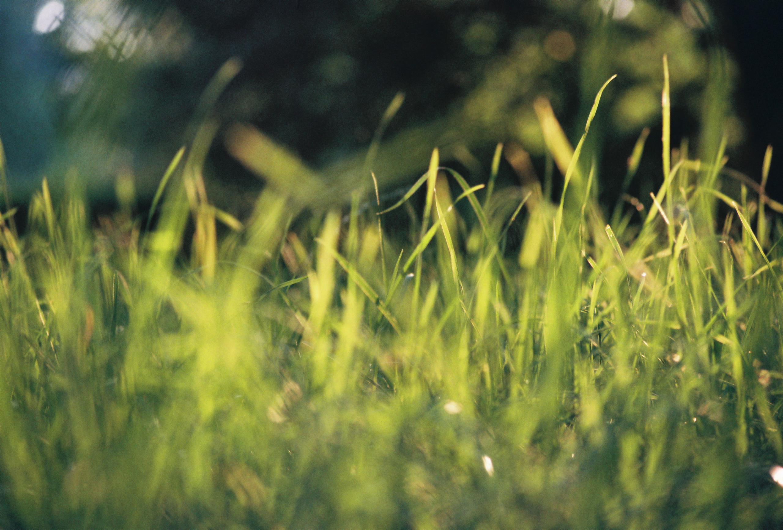 Фотограф Ринат Бархатов | Photographer Rinat Barkhatov